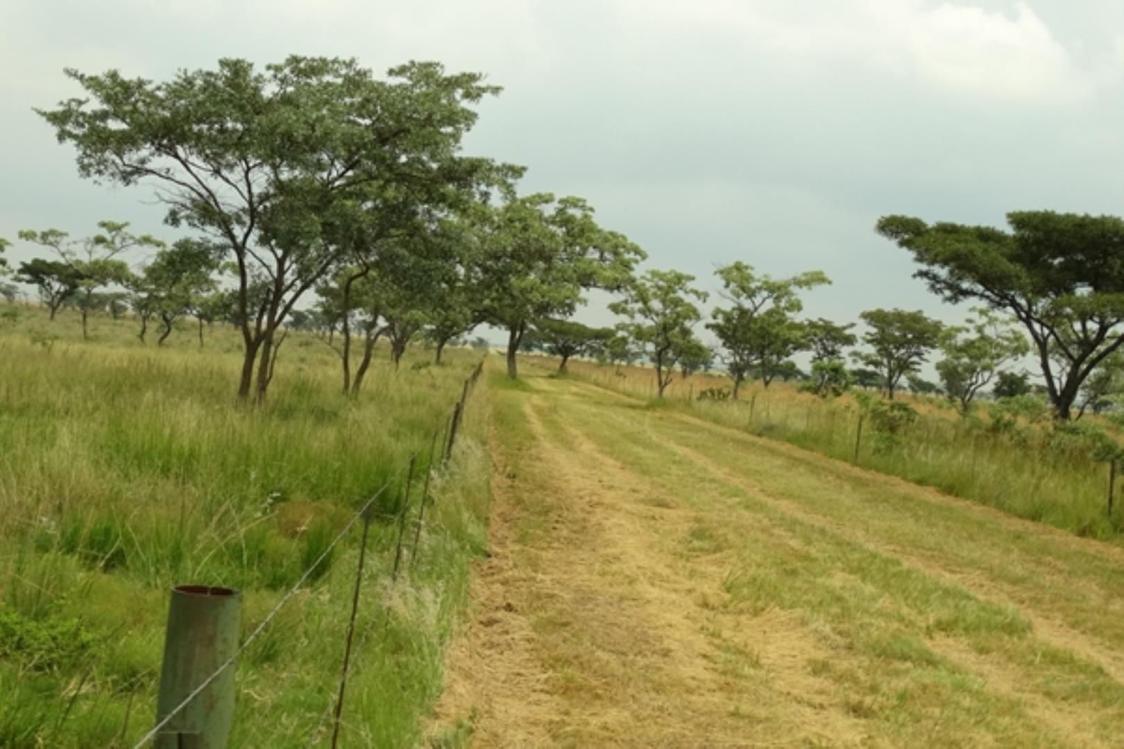 732378_1419ha_Feedlot___Irrigation_and_Game_Combination_Farm_for_Sale_Naboomspruit_(145).jpg