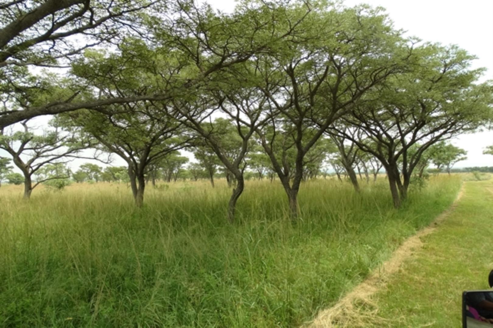 732378_1419ha_Feedlot___Irrigation_and_Game_Combination_Farm_for_Sale_Naboomspruit_(147).jpg