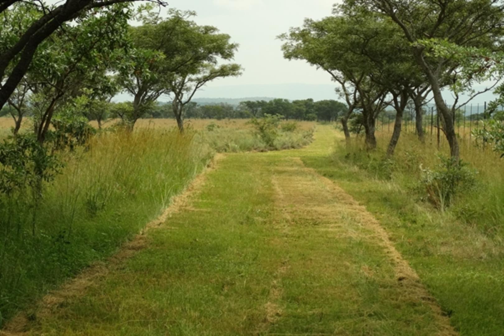 732378_1419ha_Feedlot___Irrigation_and_Game_Combination_Farm_for_Sale_Naboomspruit_(148).jpg
