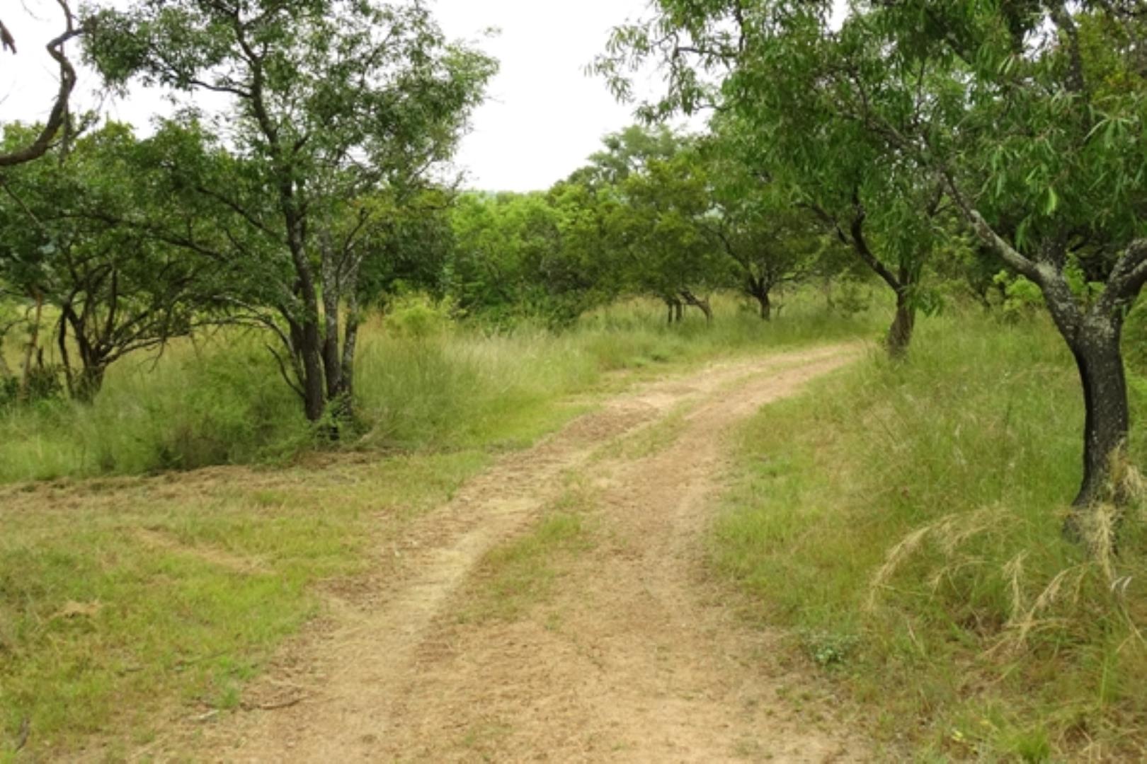 732378_1419ha_Feedlot___Irrigation_and_Game_Combination_Farm_for_Sale_Naboomspruit_(160).jpg