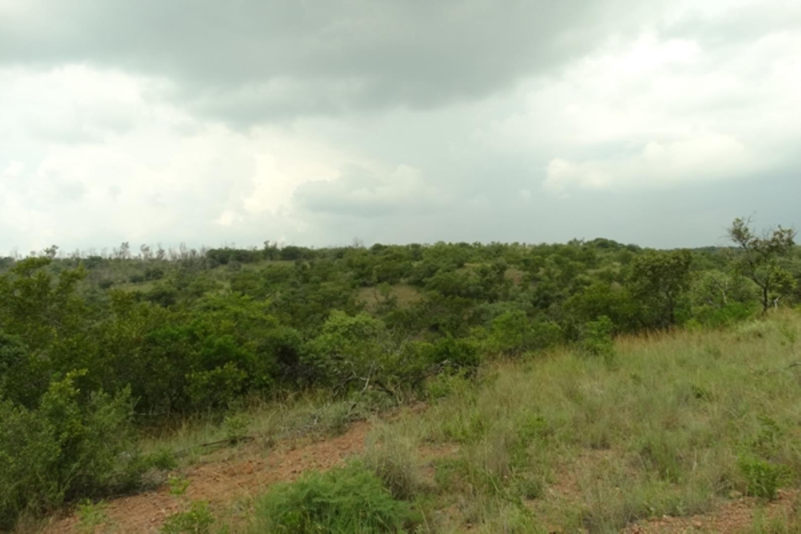 732378_1419ha_Feedlot___Irrigation_and_Game_Combination_Farm_for_Sale_Naboomspruit_(161).jpg