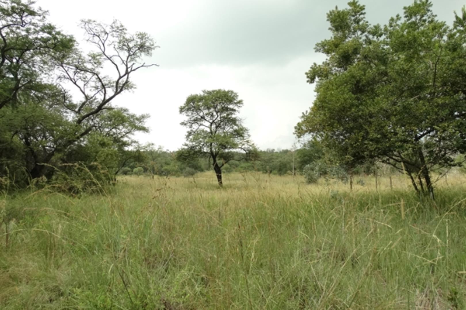 732378_1419ha_Feedlot___Irrigation_and_Game_Combination_Farm_for_Sale_Naboomspruit_(164).jpg