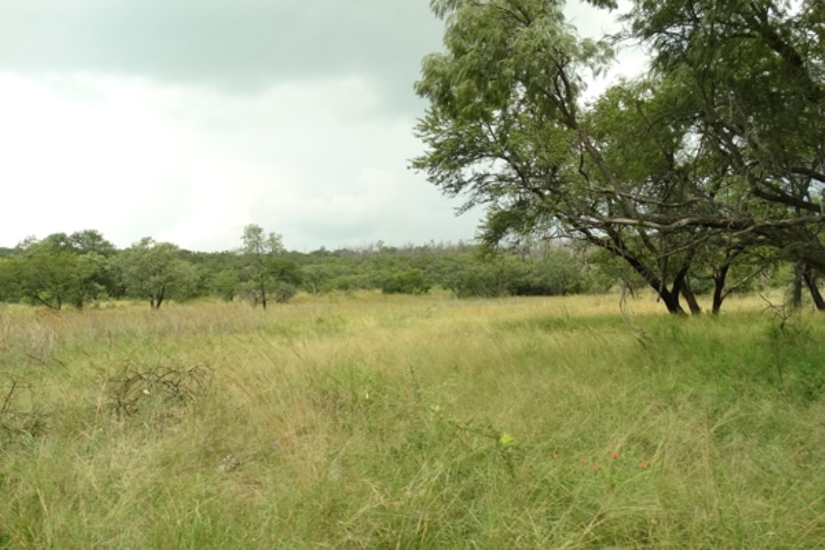 732378_1419ha_Feedlot___Irrigation_and_Game_Combination_Farm_for_Sale_Naboomspruit_(165).jpg