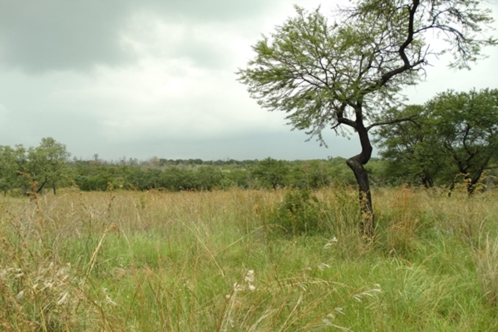 732378_1419ha_Feedlot___Irrigation_and_Game_Combination_Farm_for_Sale_Naboomspruit_(166).jpg