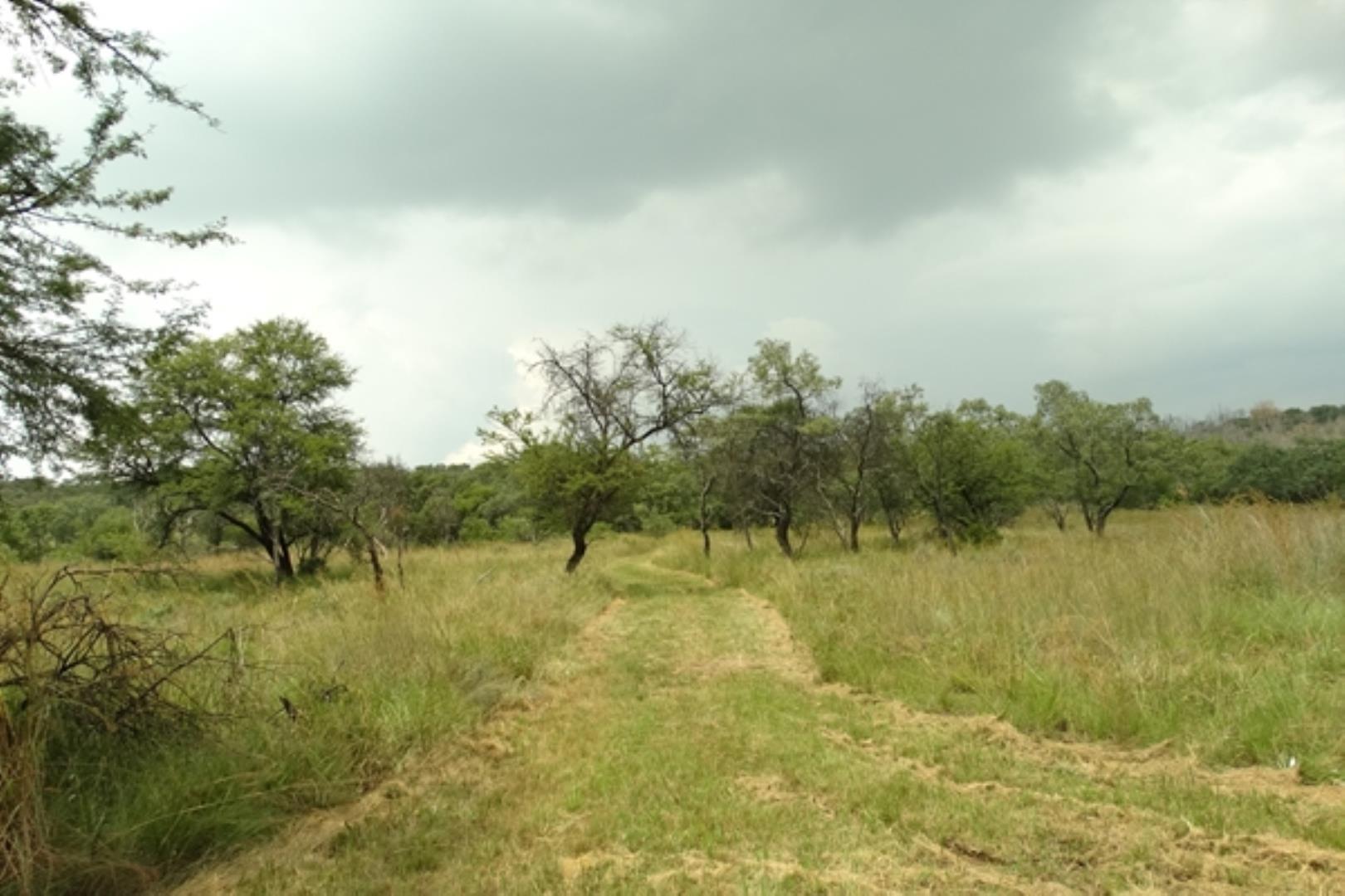 732378_1419ha_Feedlot___Irrigation_and_Game_Combination_Farm_for_Sale_Naboomspruit_(167).jpg