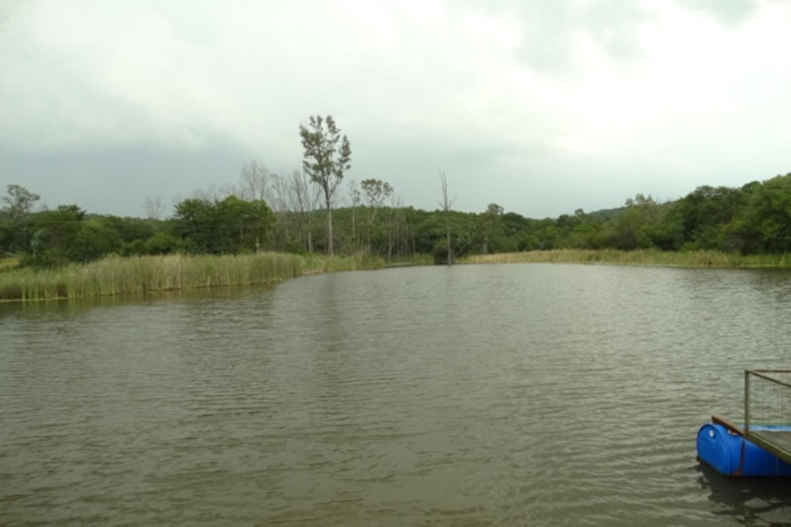 732378_1419ha_Feedlot___Irrigation_and_Game_Combination_Farm_for_Sale_Naboomspruit_(171).jpg