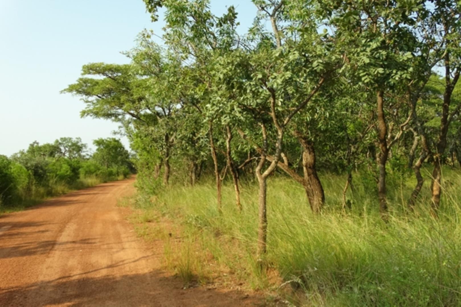 732378_1419ha_Feedlot___Irrigation_and_Game_Combination_Farm_for_Sale_Naboomspruit_(2).jpg