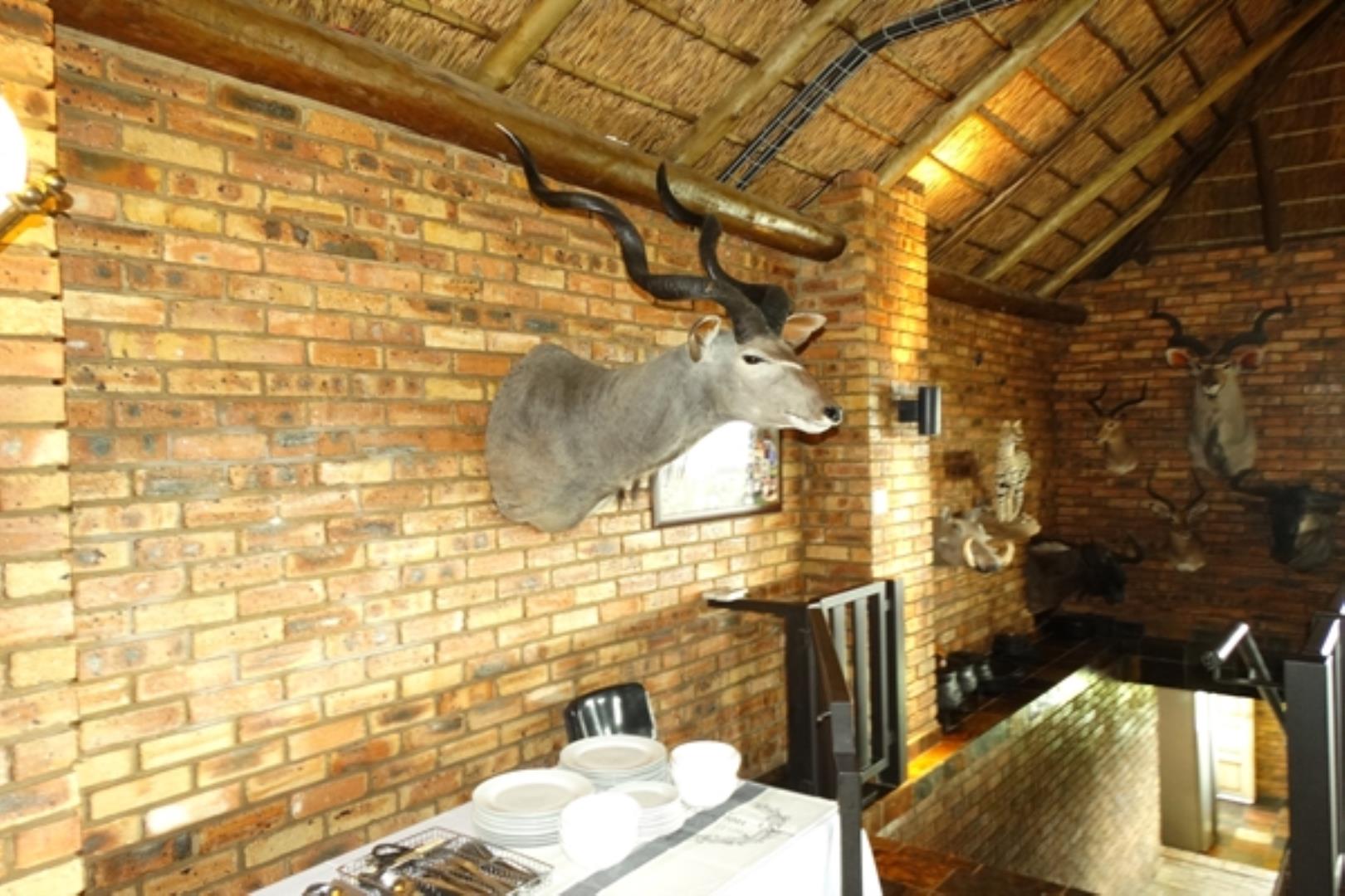 732378_1419ha_Feedlot___Irrigation_and_Game_Combination_Farm_for_Sale_Naboomspruit_(20).jpg