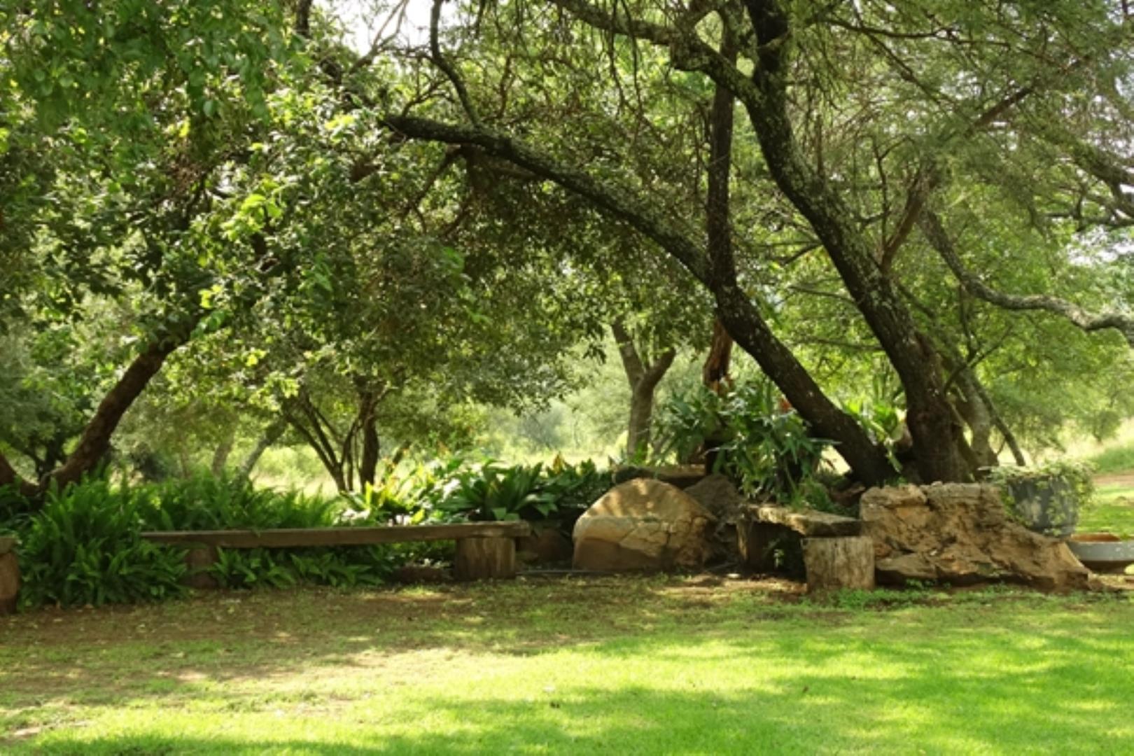 732378_1419ha_Feedlot___Irrigation_and_Game_Combination_Farm_for_Sale_Naboomspruit_(35).jpg