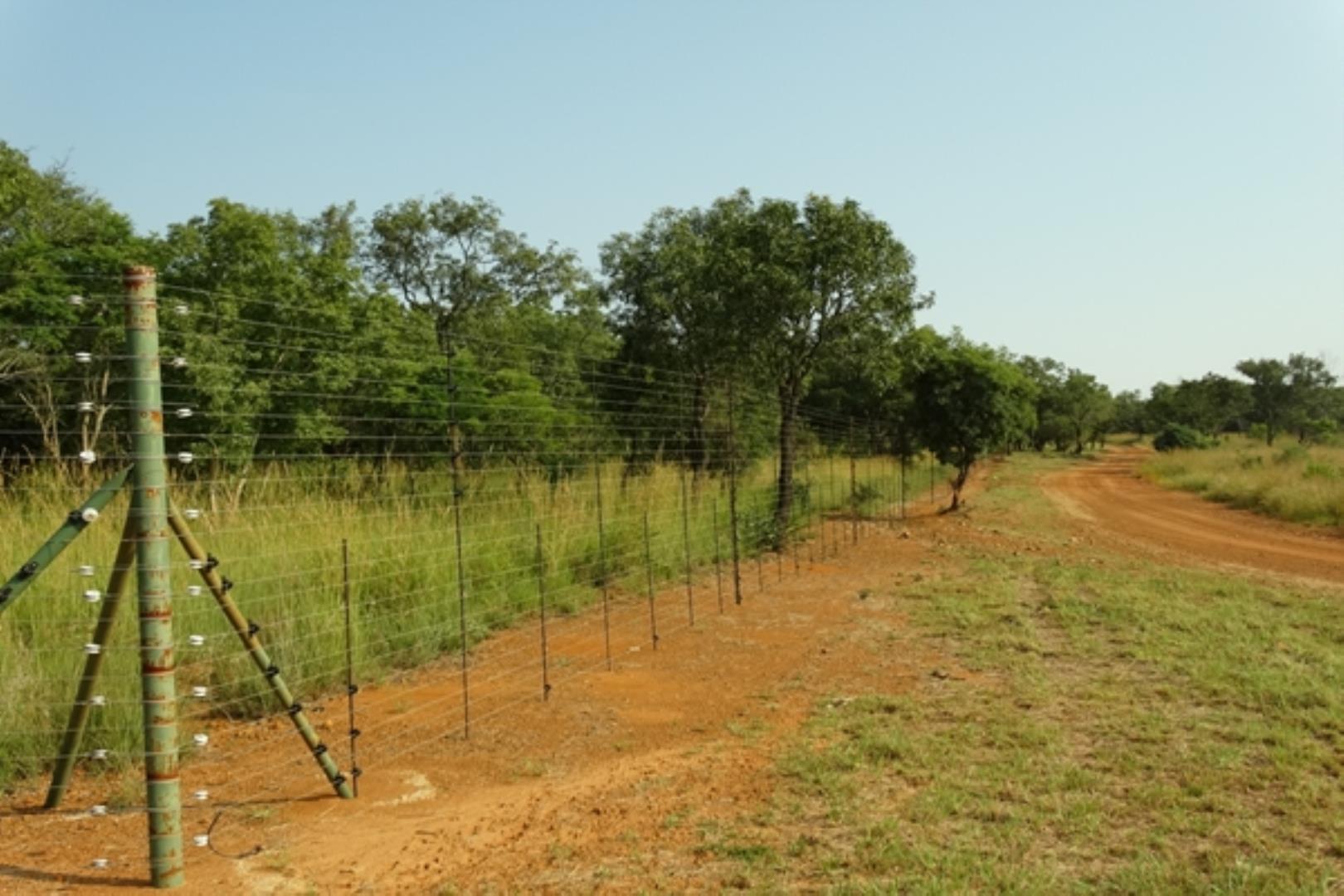 732378_1419ha_Feedlot___Irrigation_and_Game_Combination_Farm_for_Sale_Naboomspruit_(4).jpg