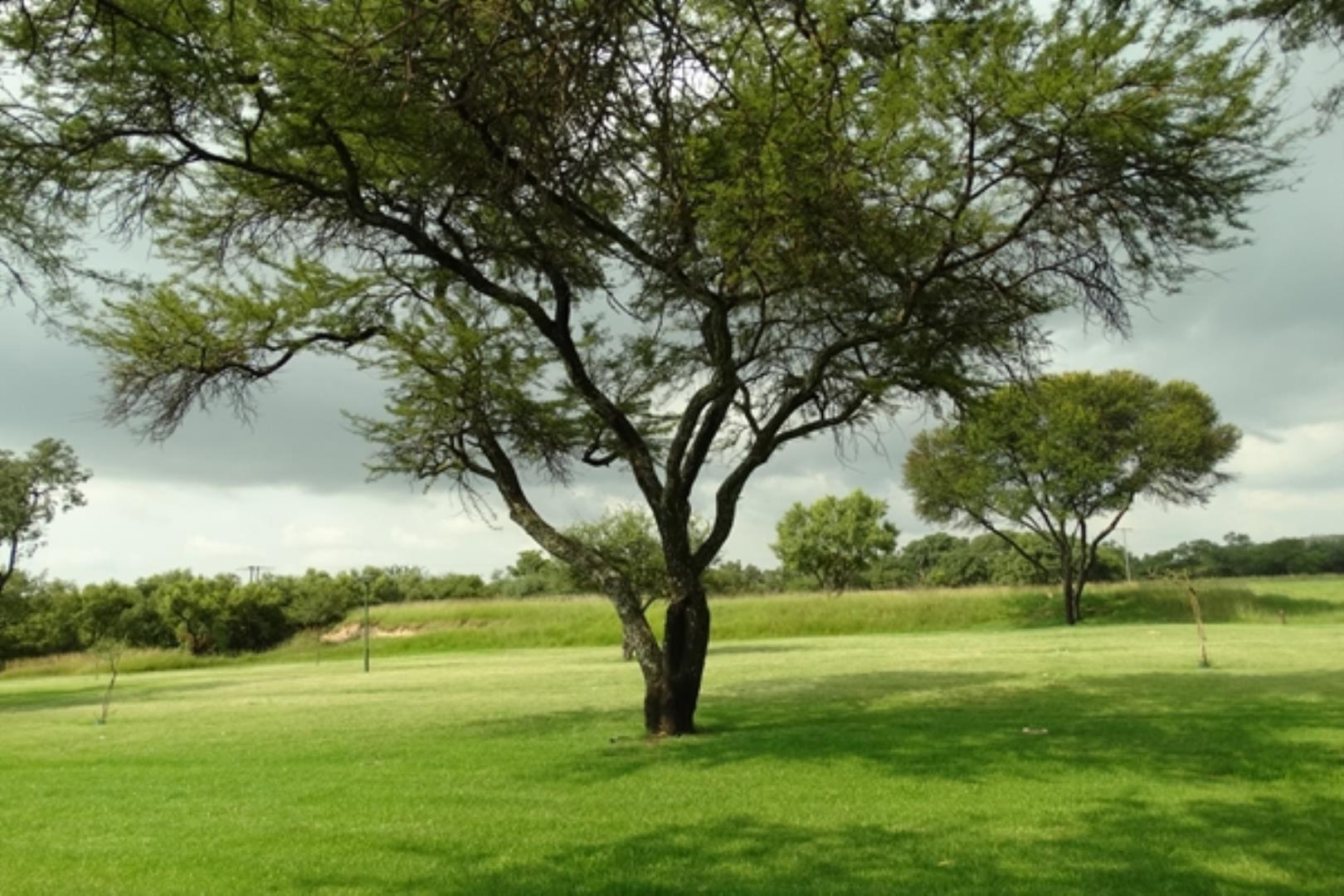 732378_1419ha_Feedlot___Irrigation_and_Game_Combination_Farm_for_Sale_Naboomspruit_(47).jpg
