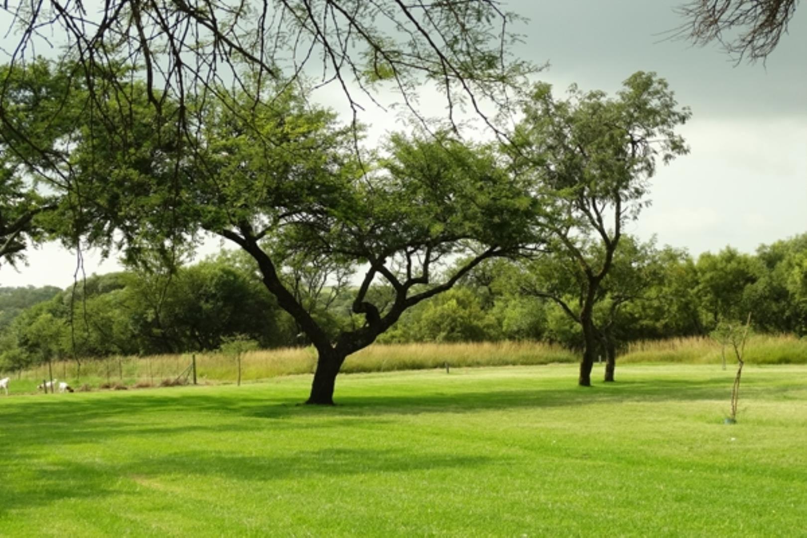 732378_1419ha_Feedlot___Irrigation_and_Game_Combination_Farm_for_Sale_Naboomspruit_(48).jpg