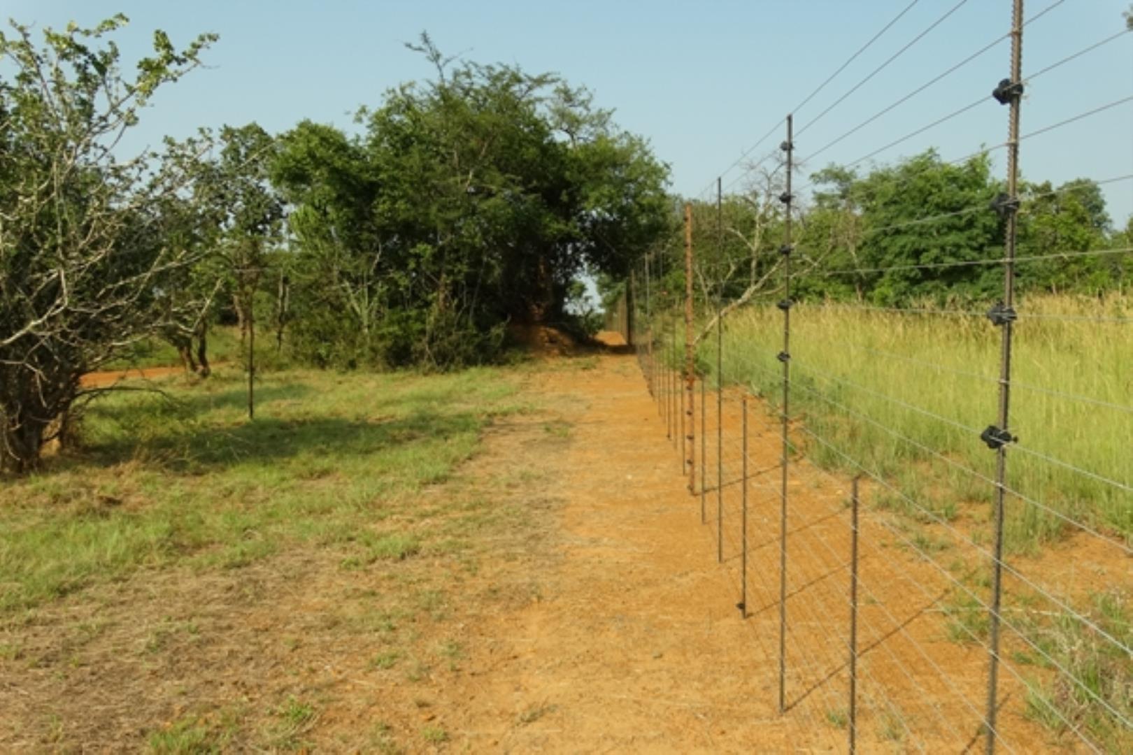 732378_1419ha_Feedlot___Irrigation_and_Game_Combination_Farm_for_Sale_Naboomspruit_(5).jpg