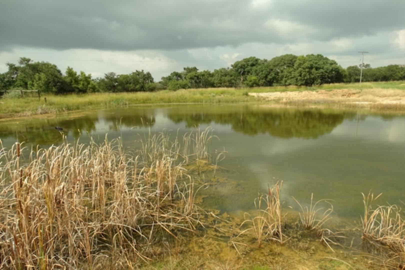 732378_1419ha_Feedlot___Irrigation_and_Game_Combination_Farm_for_Sale_Naboomspruit_(55).jpg
