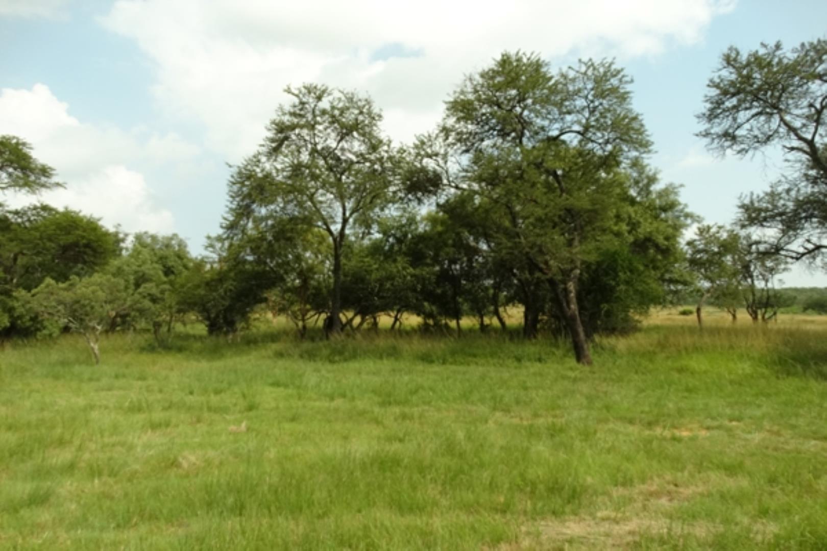 732378_1419ha_Feedlot___Irrigation_and_Game_Combination_Farm_for_Sale_Naboomspruit_(56).jpg