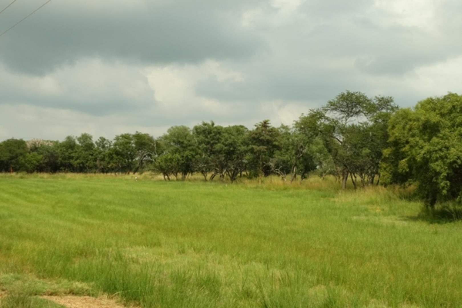732378_1419ha_Feedlot___Irrigation_and_Game_Combination_Farm_for_Sale_Naboomspruit_(57).jpg