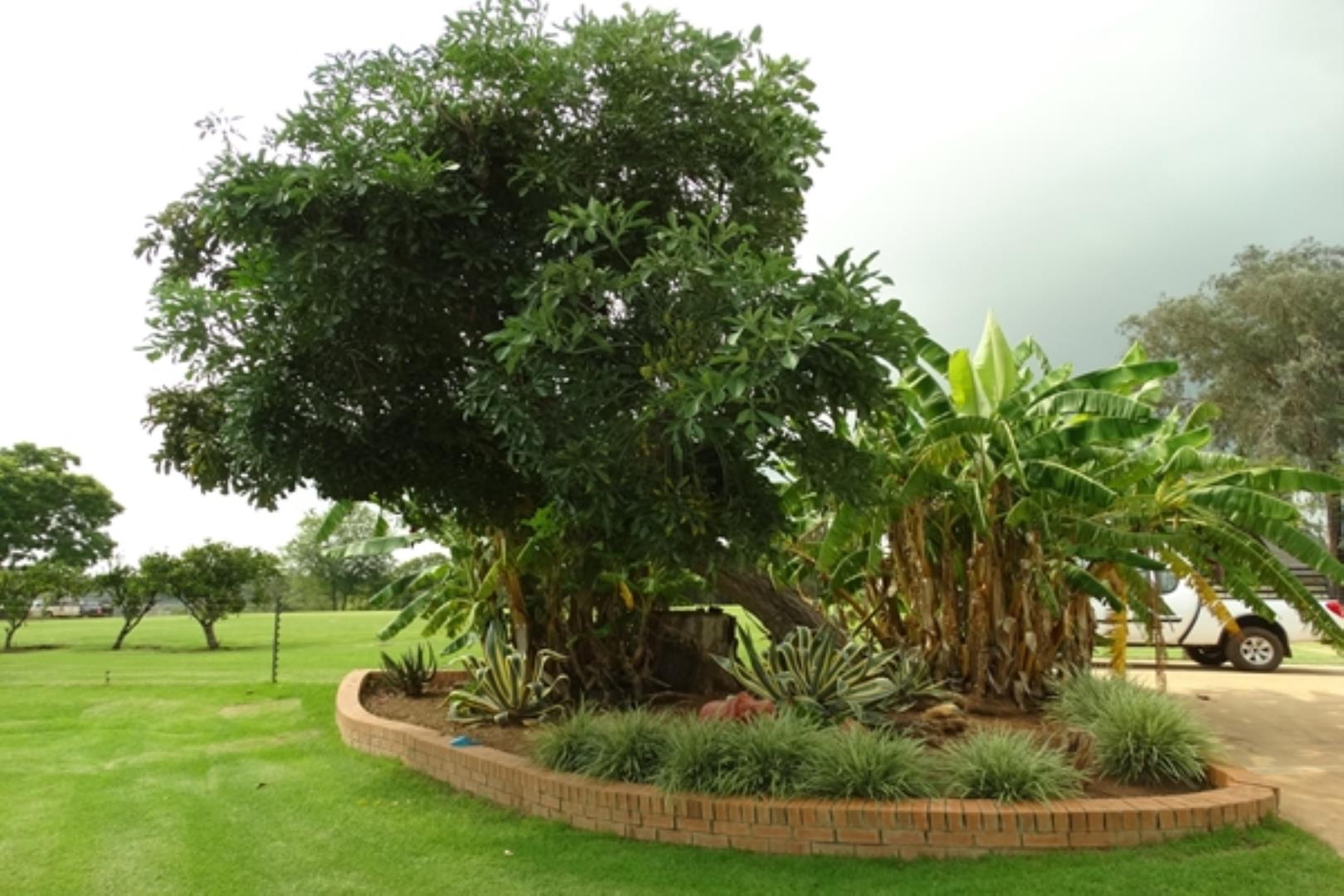 732378_1419ha_Feedlot___Irrigation_and_Game_Combination_Farm_for_Sale_Naboomspruit_(64).jpg