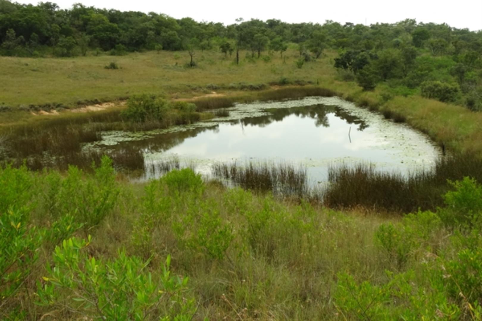 732378_1419ha_Feedlot___Irrigation_and_Game_Combination_Farm_for_Sale_Naboomspruit_(68).jpg