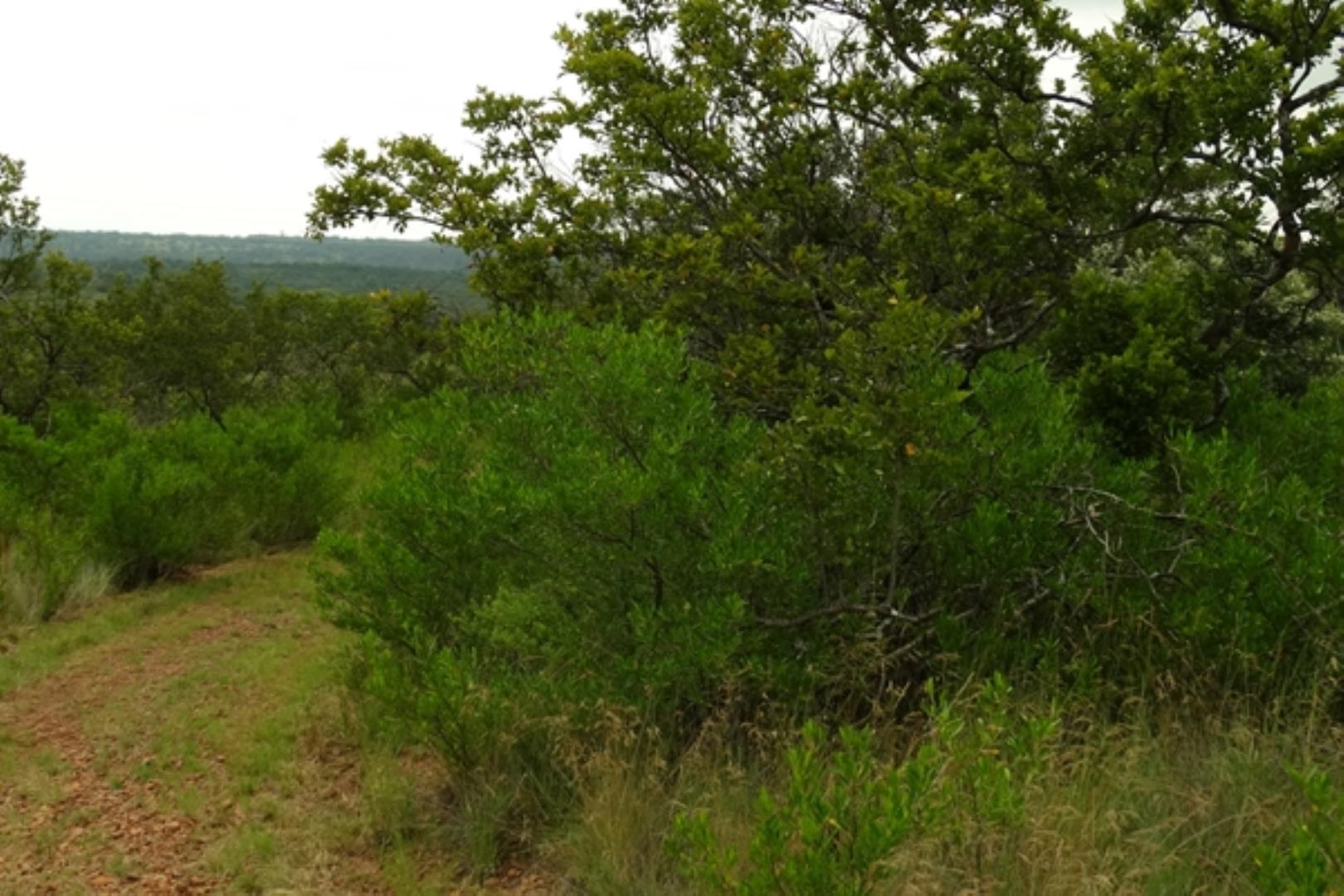 732378_1419ha_Feedlot___Irrigation_and_Game_Combination_Farm_for_Sale_Naboomspruit_(69).jpg