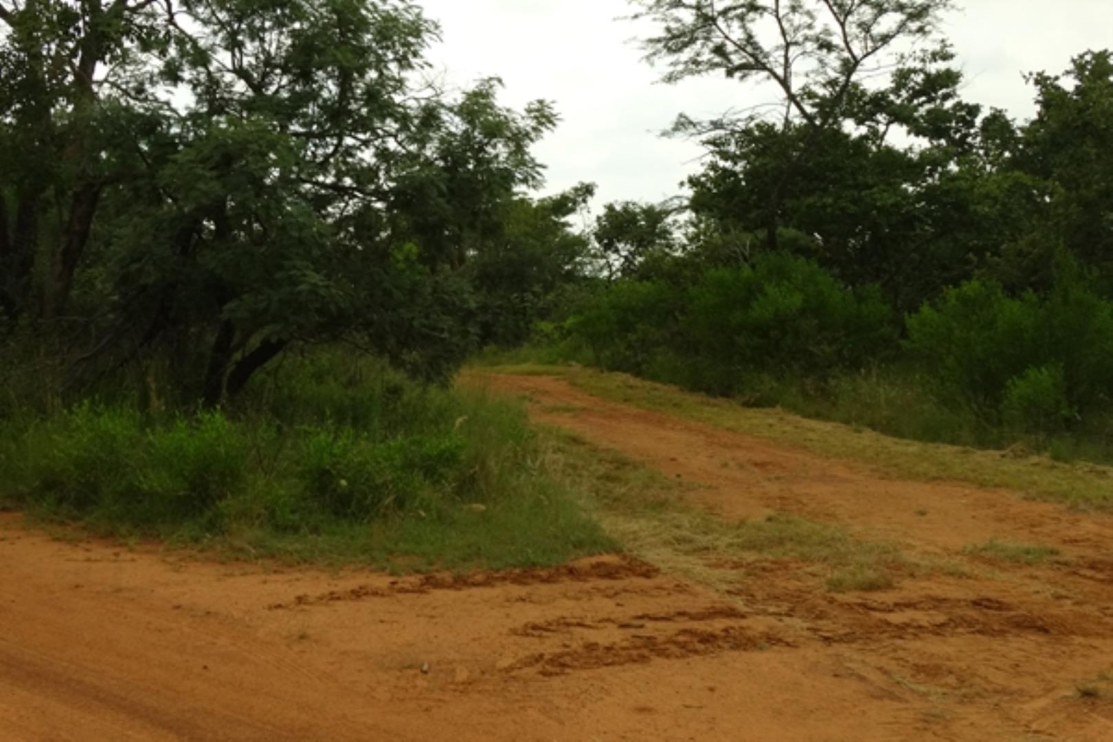 732378_1419ha_Feedlot___Irrigation_and_Game_Combination_Farm_for_Sale_Naboomspruit_(70).jpg