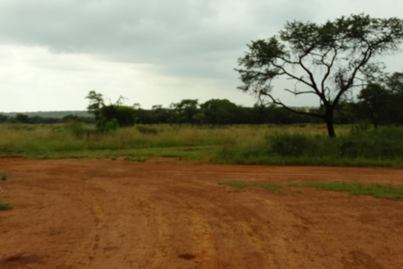 732378_1419ha_Feedlot___Irrigation_and_Game_Combination_Farm_for_Sale_Naboomspruit_(80).jpg