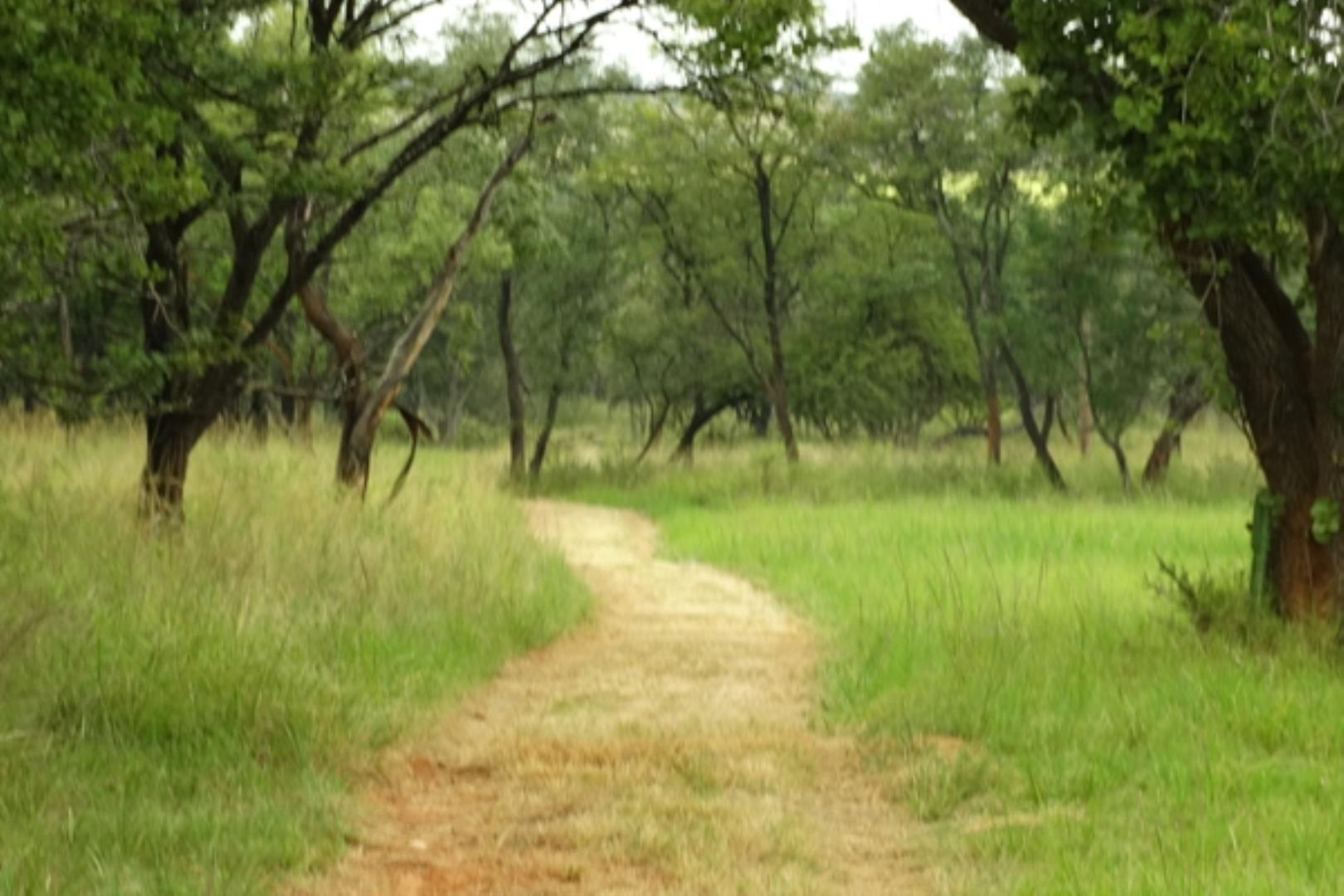 732378_1419ha_Feedlot___Irrigation_and_Game_Combination_Farm_for_Sale_Naboomspruit_(85).jpg