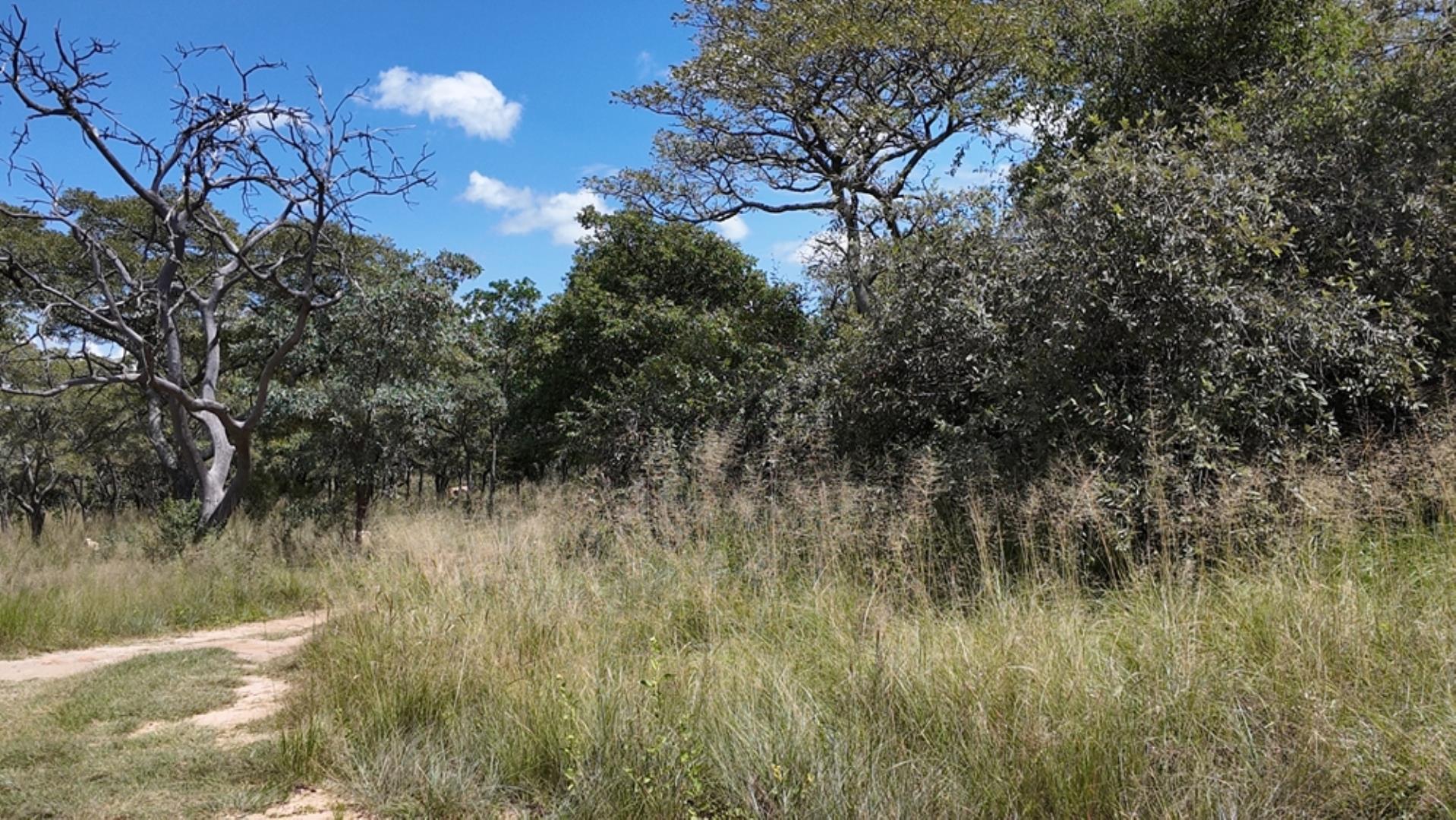732502_2087ha_Farm_For_Sale_Waterberg___South_Africa_(114).jpeg