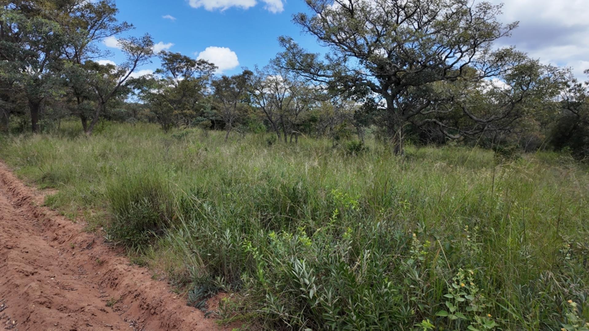 732502_2087ha_Farm_For_Sale_Waterberg___South_Africa_(125).jpeg