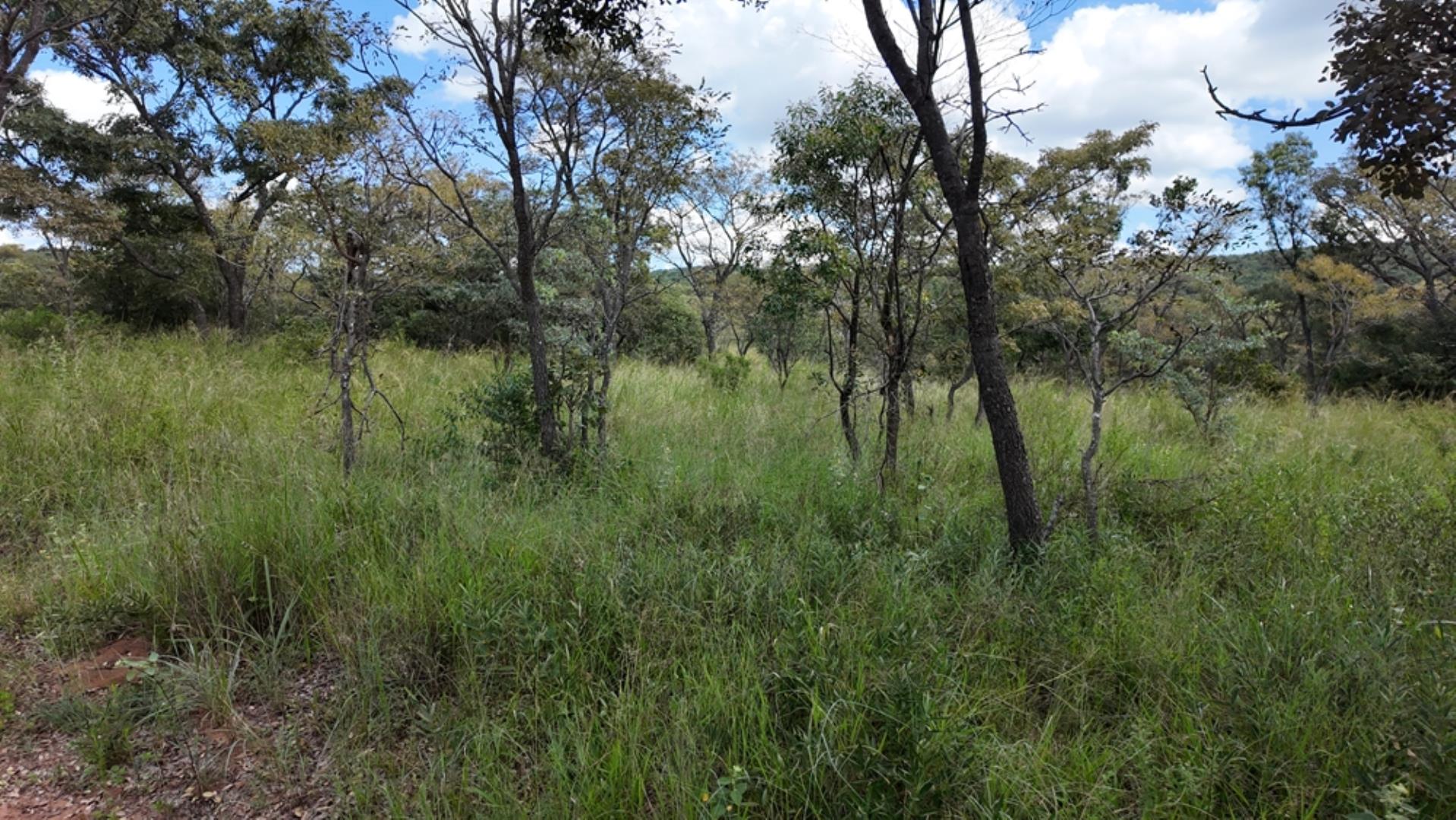 732502_2087ha_Farm_For_Sale_Waterberg___South_Africa_(126).jpeg
