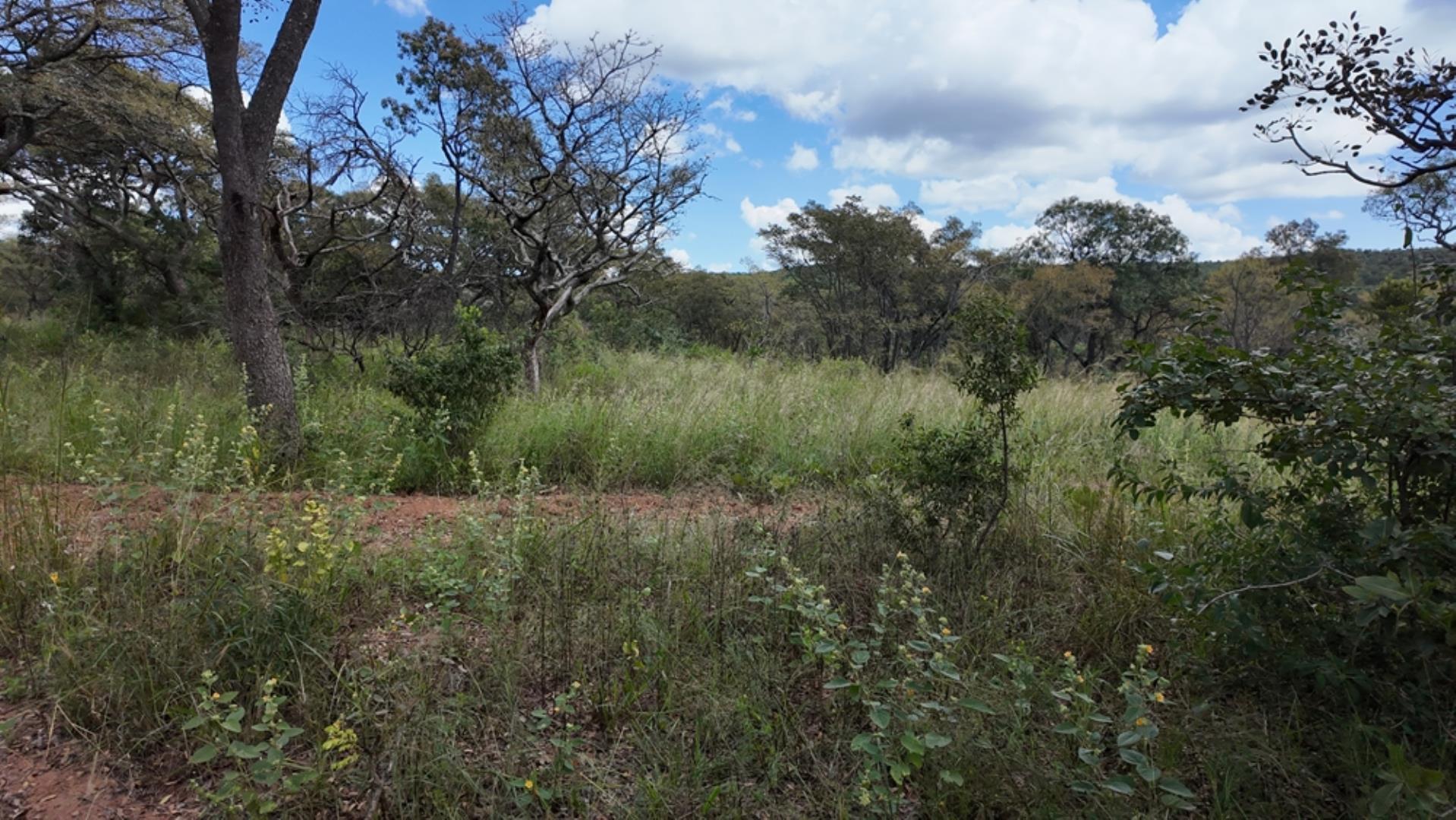 732502_2087ha_Farm_For_Sale_Waterberg___South_Africa_(128).jpeg