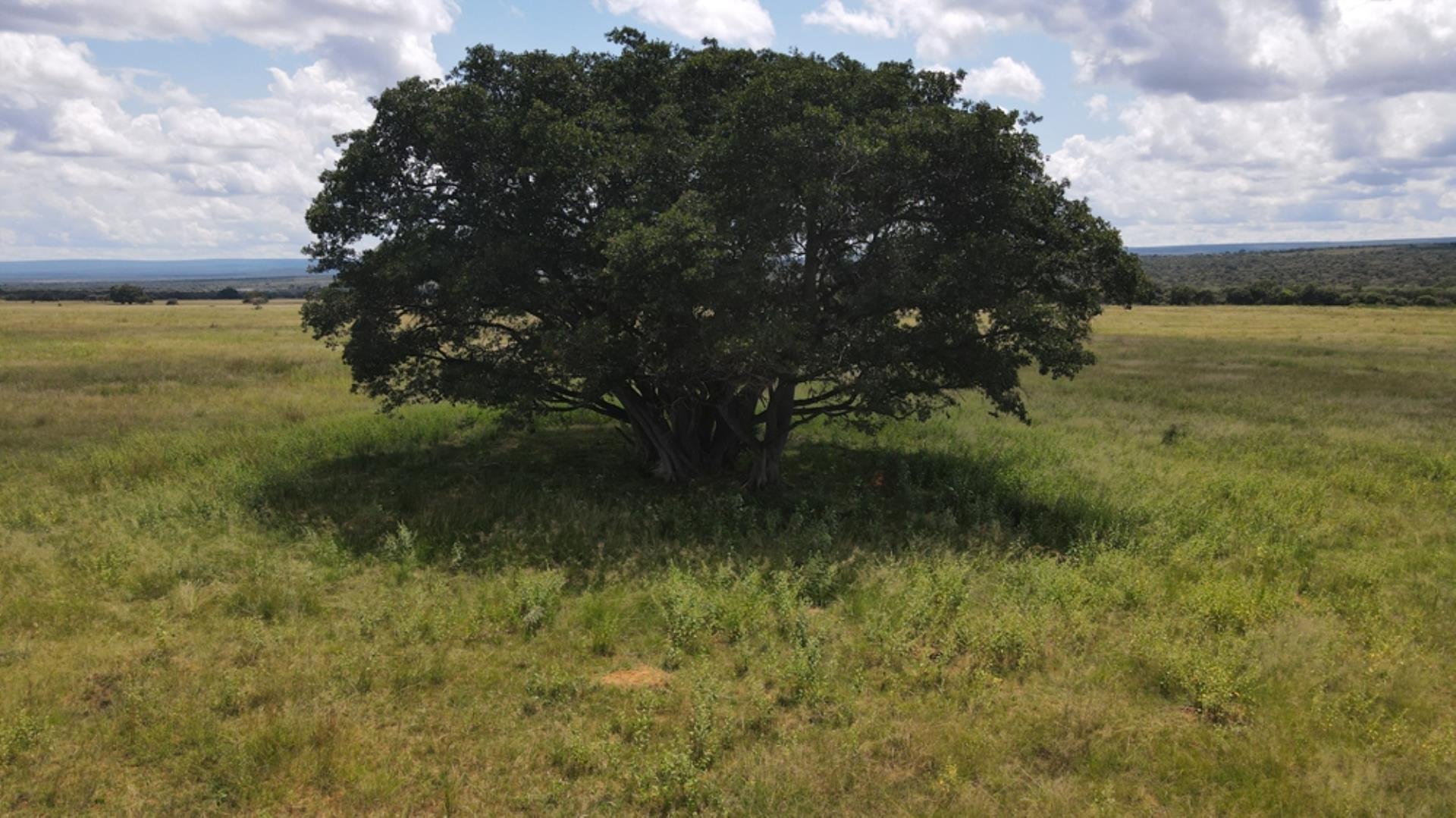 732502_2087ha_Farm_For_Sale_Waterberg___South_Africa_(13).jpeg