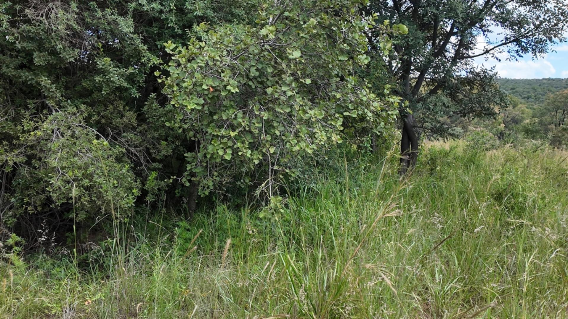 732502_2087ha_Farm_For_Sale_Waterberg___South_Africa_(133).jpeg
