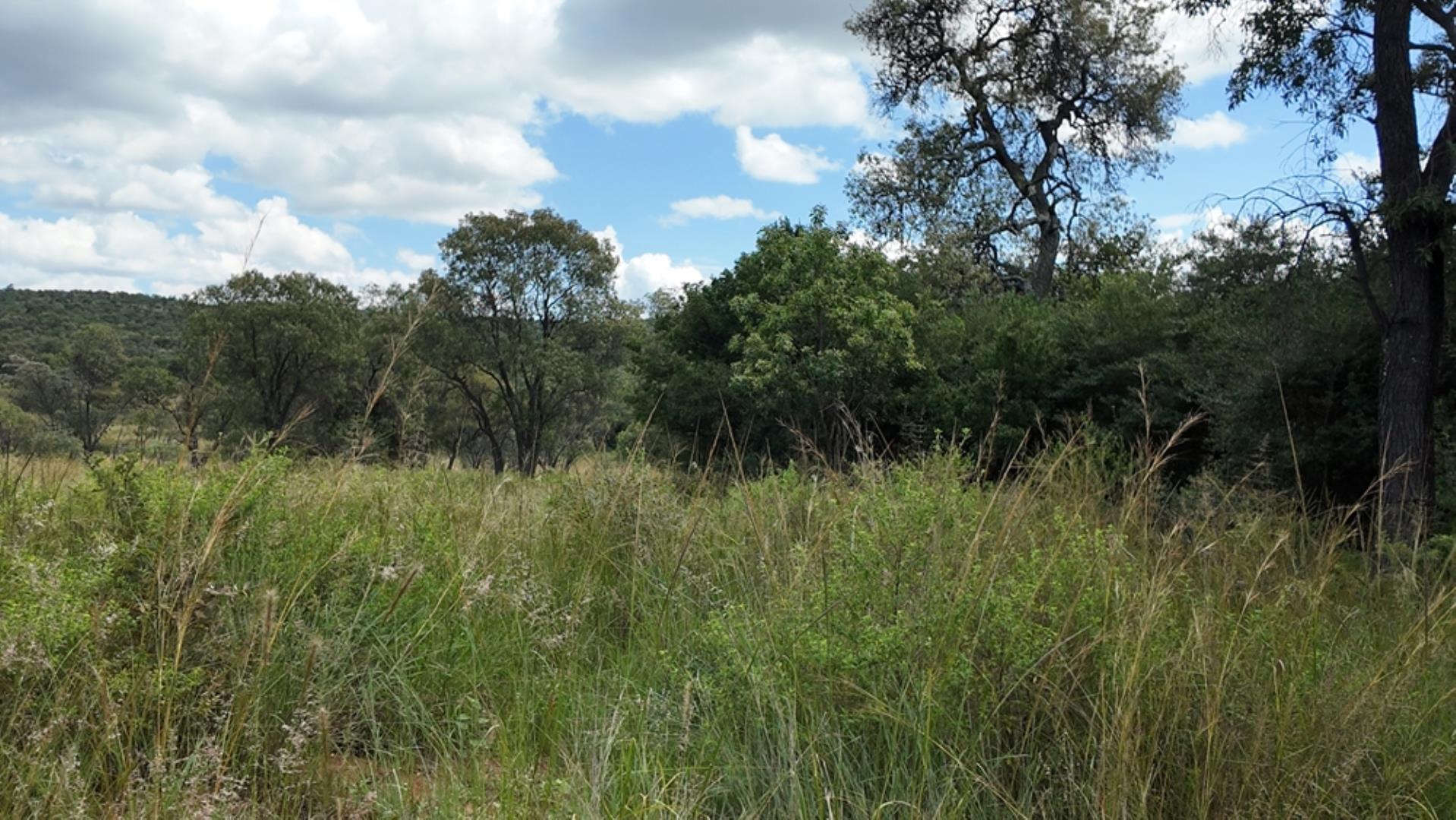 732502_2087ha_Farm_For_Sale_Waterberg___South_Africa_(135).jpeg