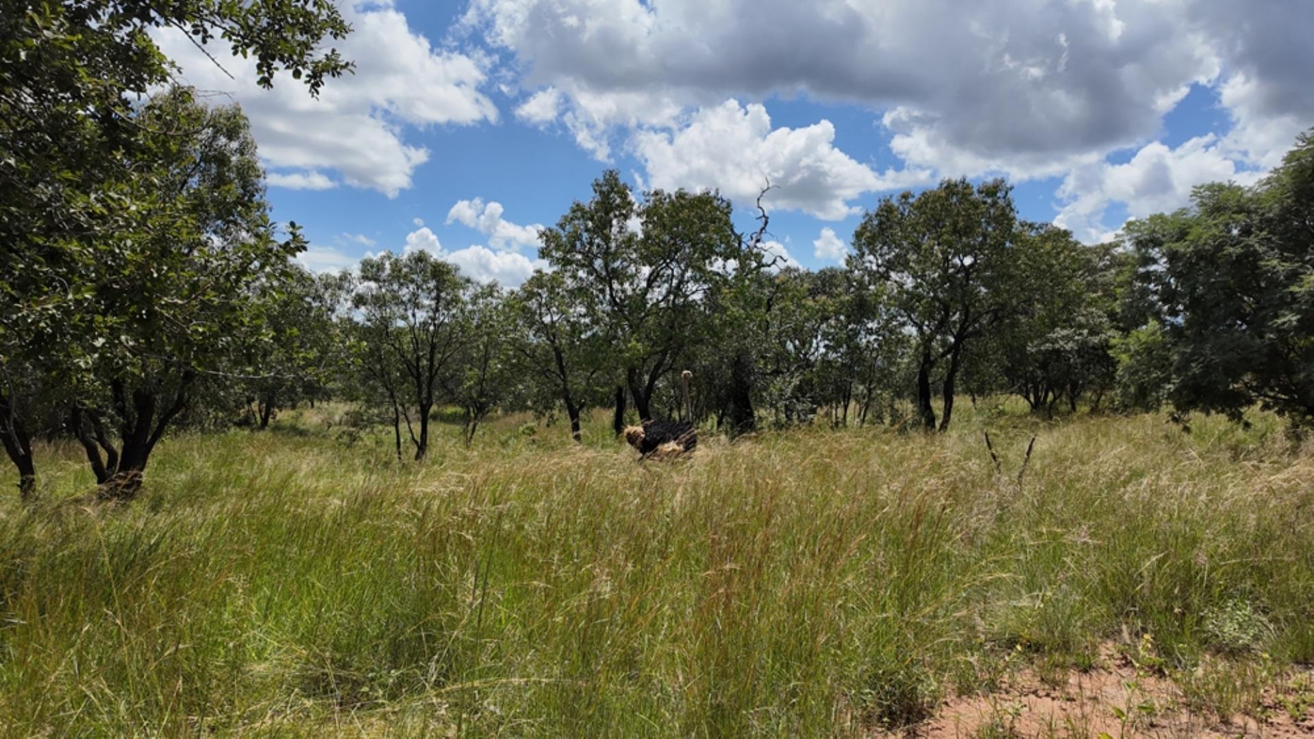 732502_2087ha_Farm_For_Sale_Waterberg___South_Africa_(146).jpeg