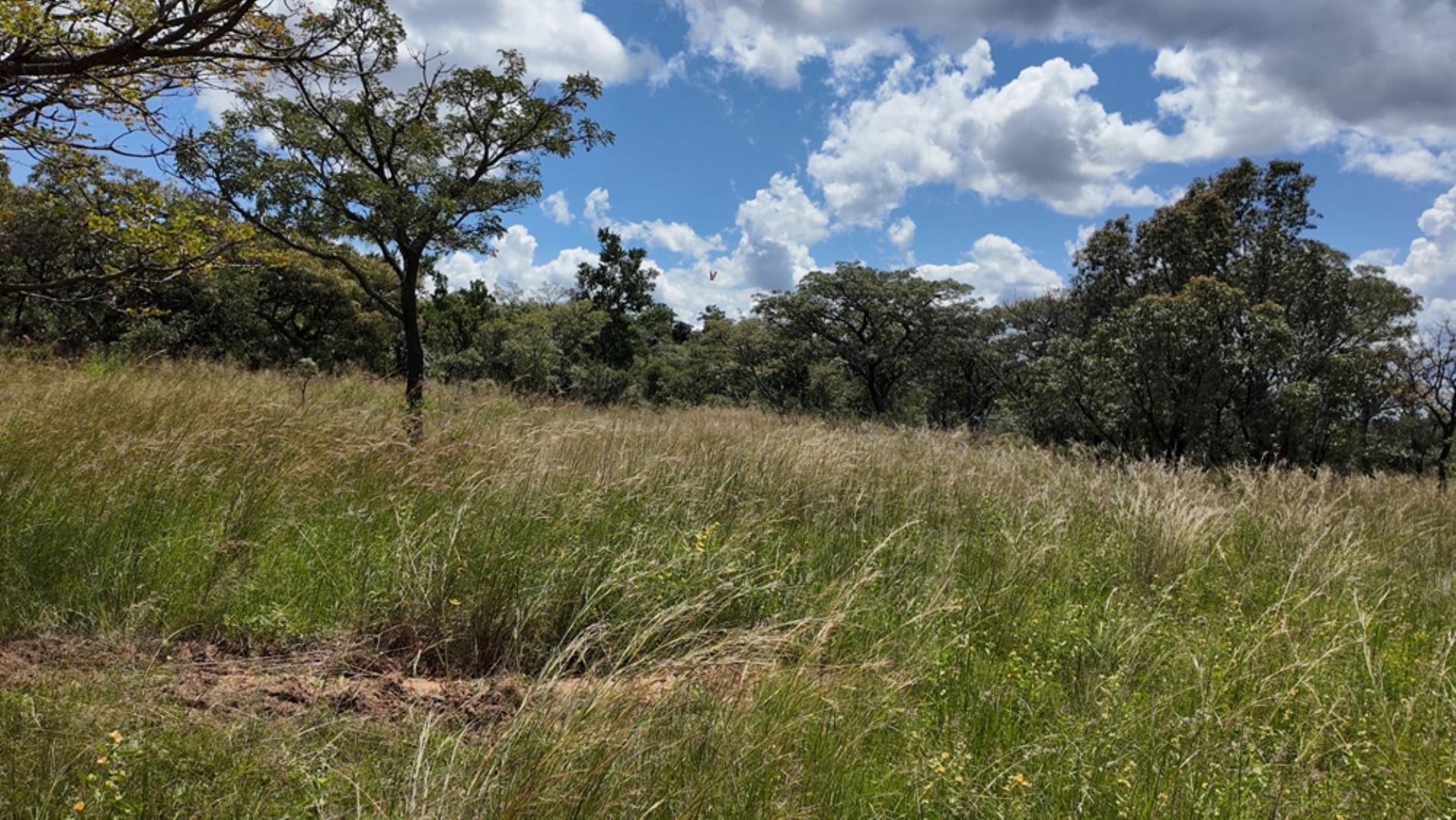732502_2087ha_Farm_For_Sale_Waterberg___South_Africa_(152).jpeg