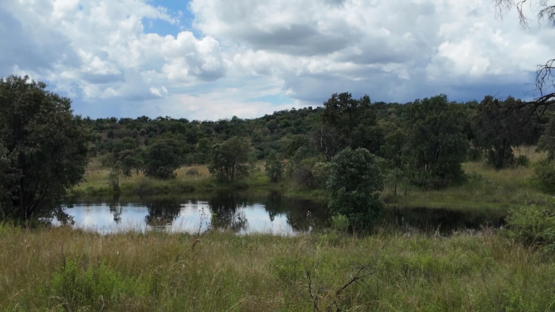 732502_2087ha_Farm_For_Sale_Waterberg___South_Africa_(216).jpeg