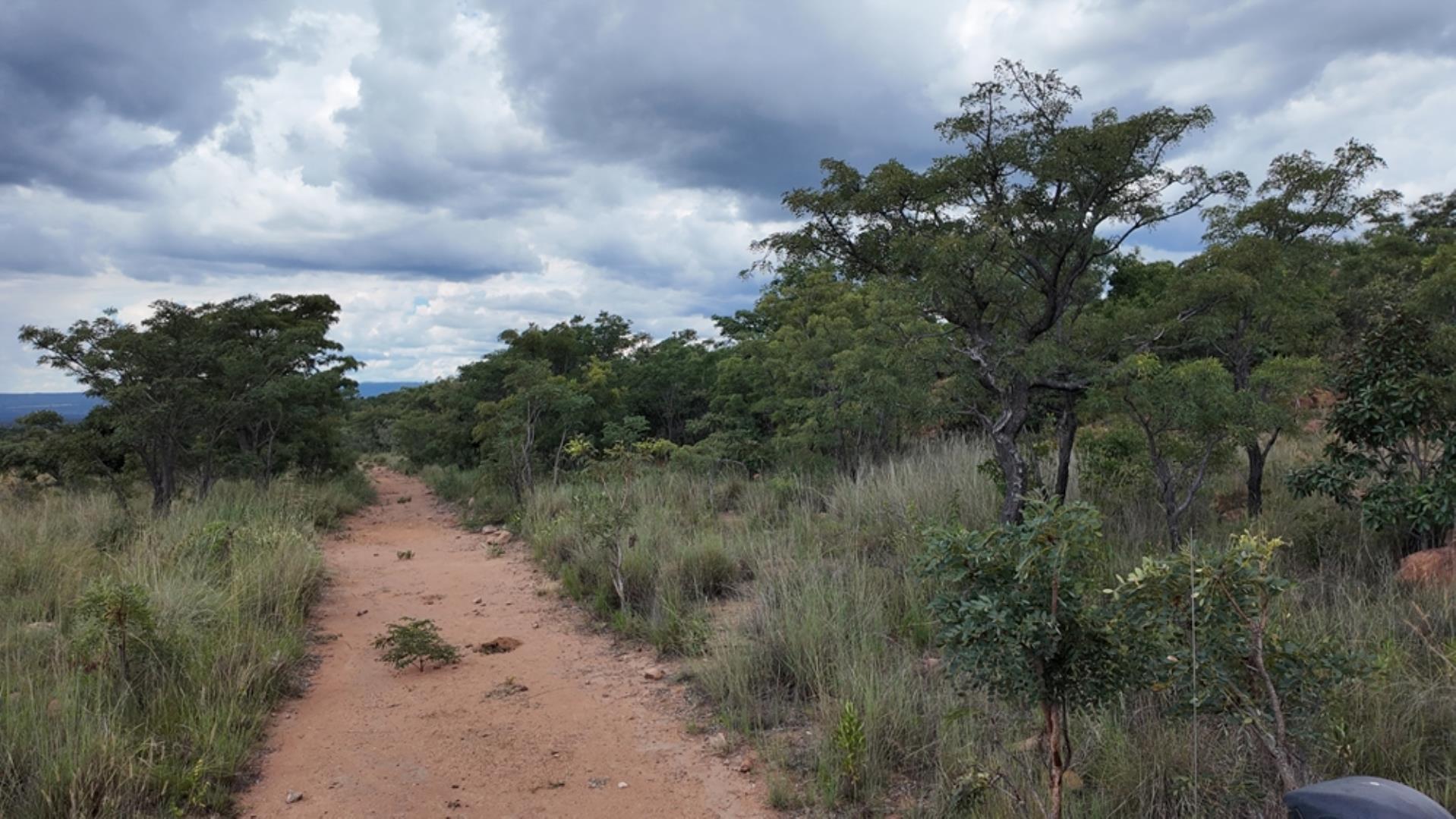 732502_2087ha_Farm_For_Sale_Waterberg___South_Africa_(239).jpeg