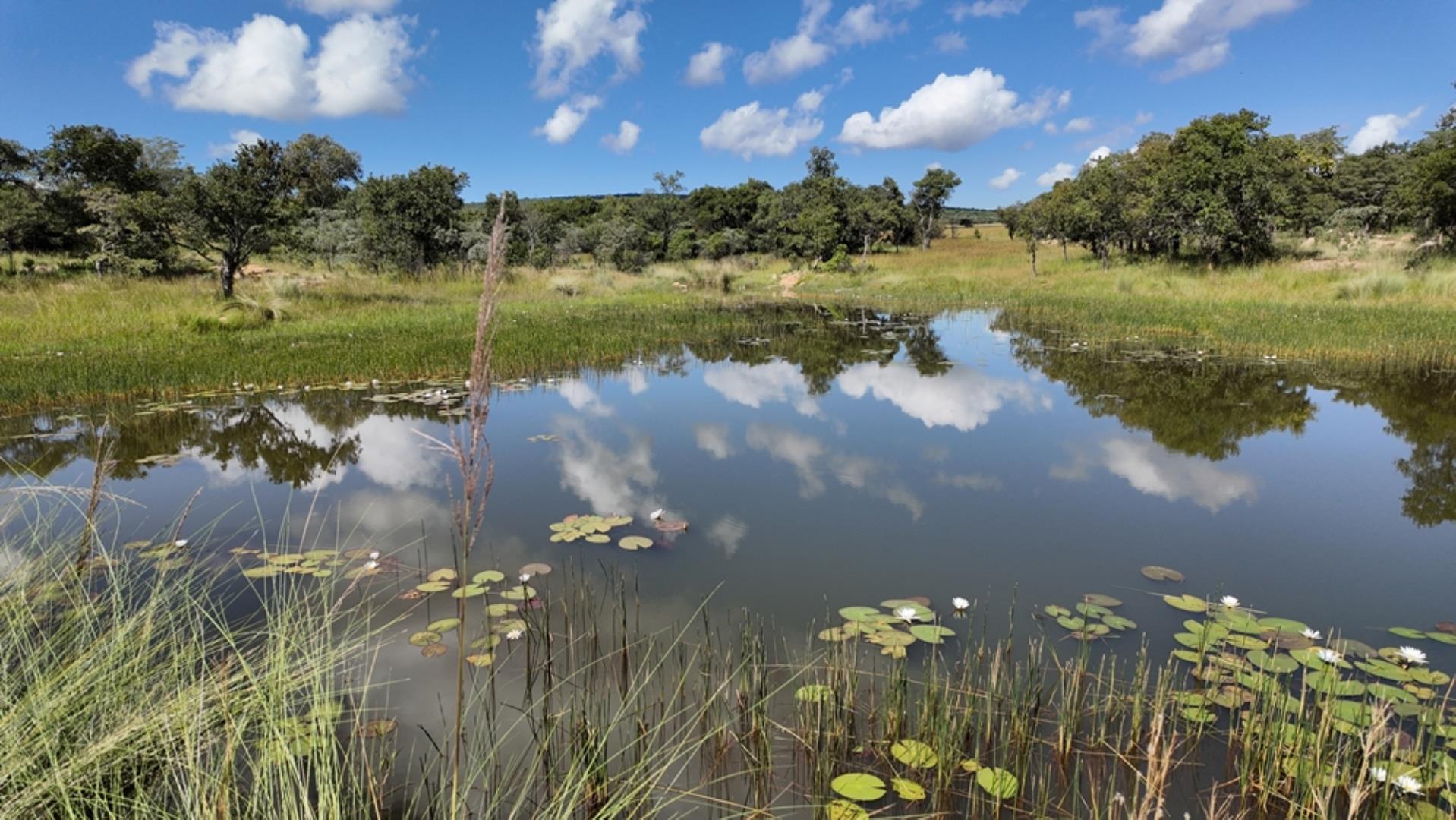 732502_2087ha_Farm_For_Sale_Waterberg___South_Africa_(59).jpeg
