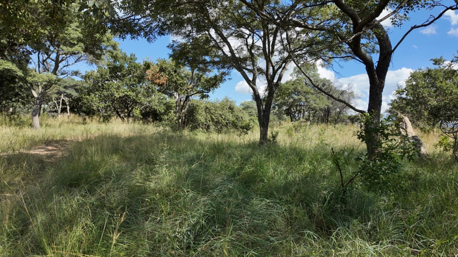 732502_2087ha_Farm_For_Sale_Waterberg___South_Africa_(64).jpeg