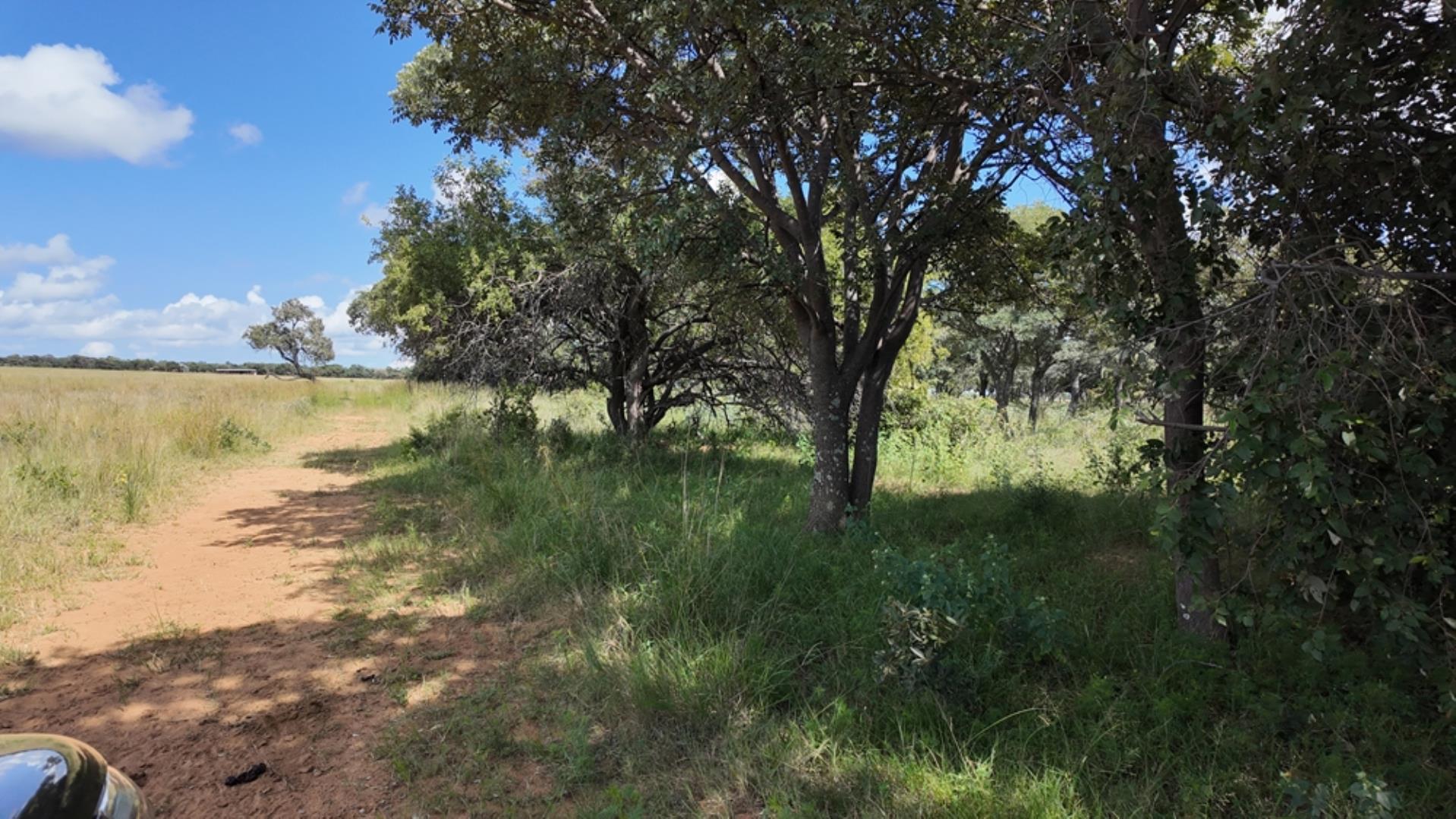 732502_2087ha_Farm_For_Sale_Waterberg___South_Africa_(73).jpeg