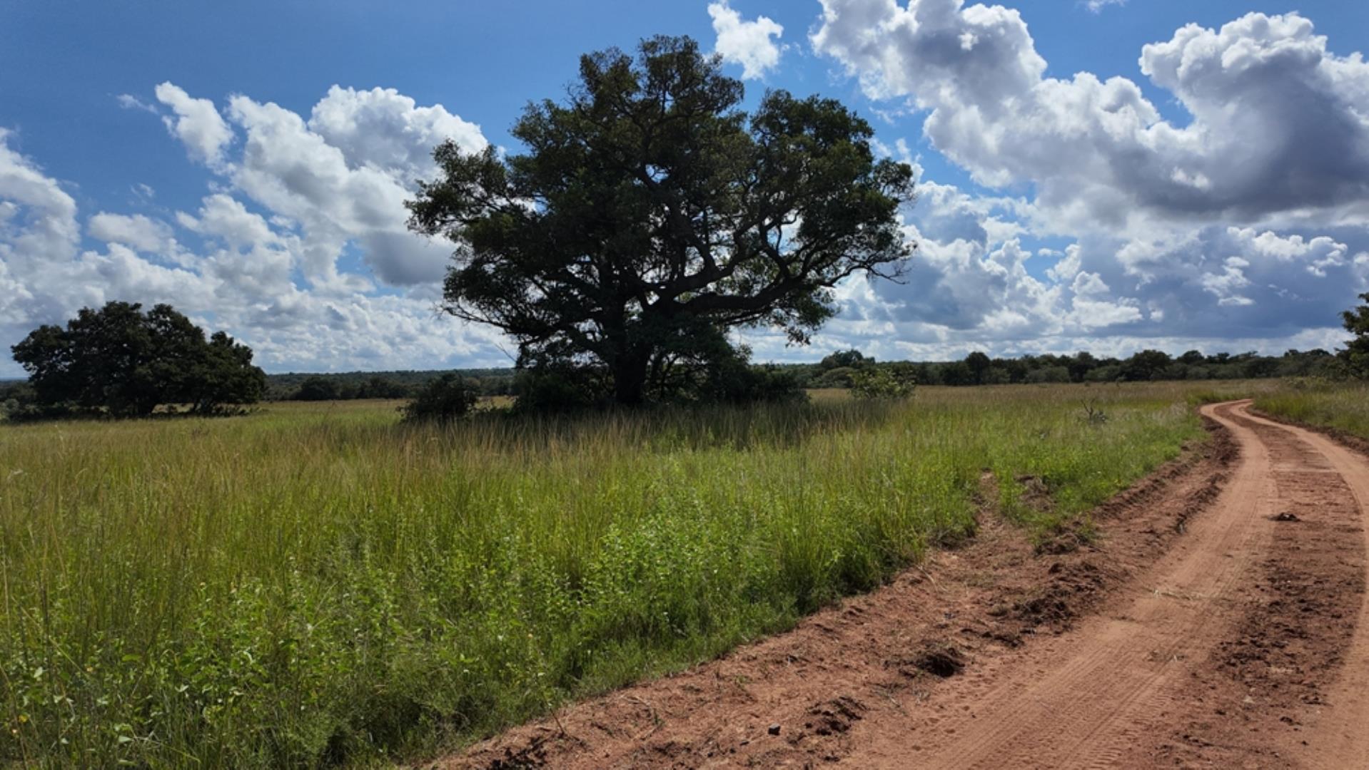 732502_2087ha_Farm_For_Sale_Waterberg___South_Africa_(81).jpeg