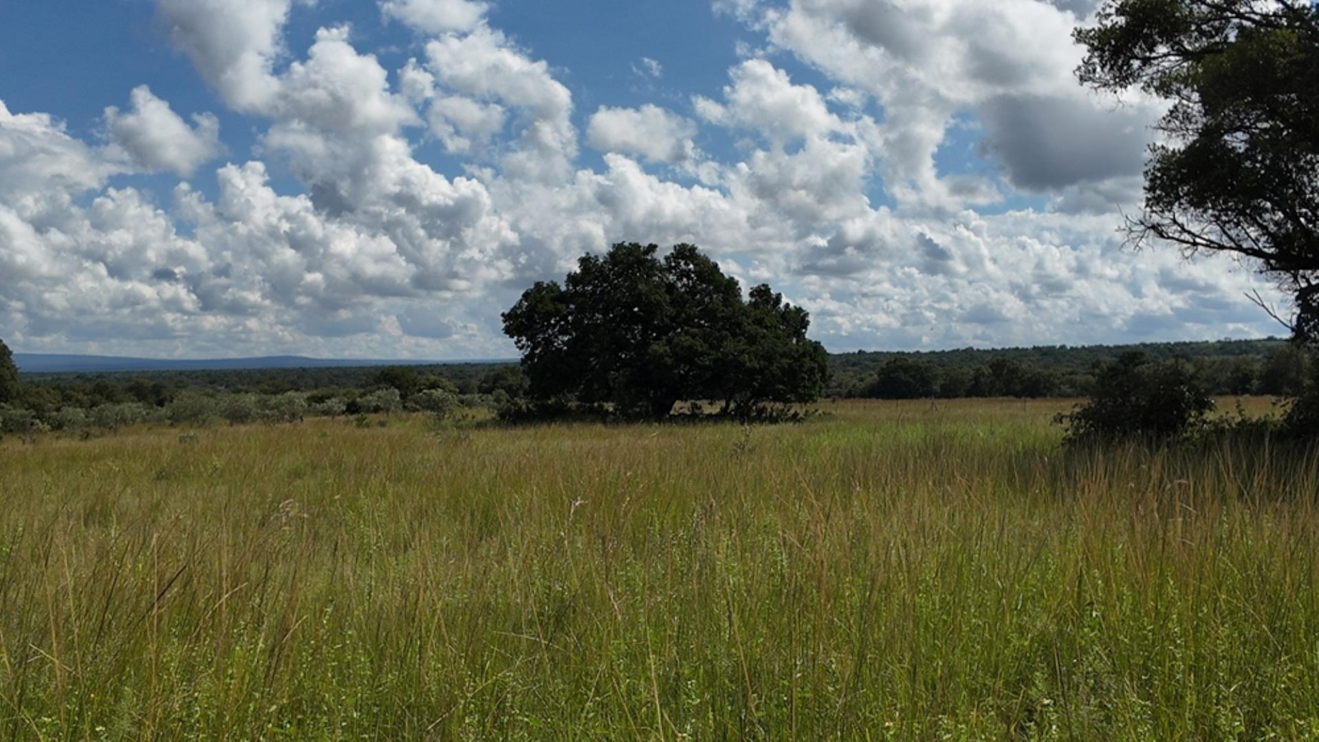 732502_2087ha_Farm_For_Sale_Waterberg___South_Africa_(82).jpeg