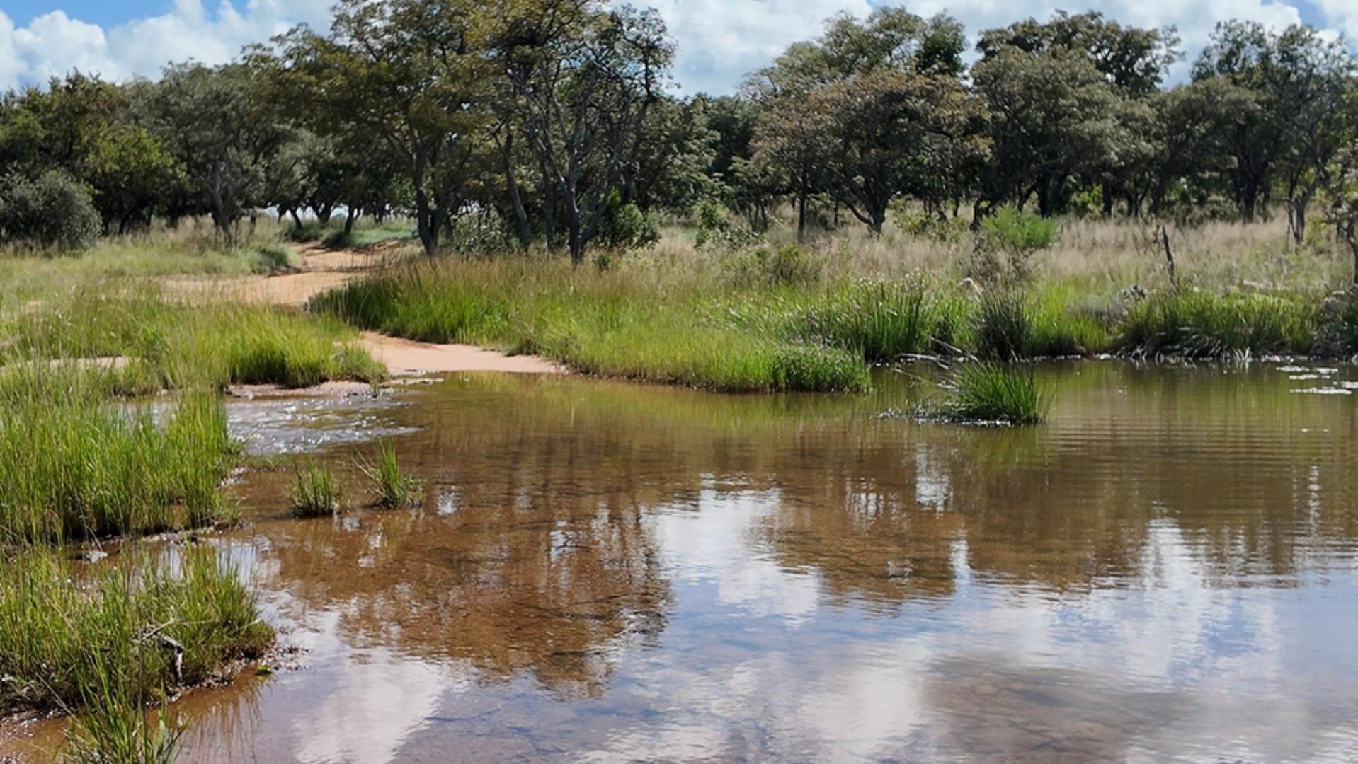732502_2087ha_Farm_For_Sale_Waterberg___South_Africa_(91).jpeg