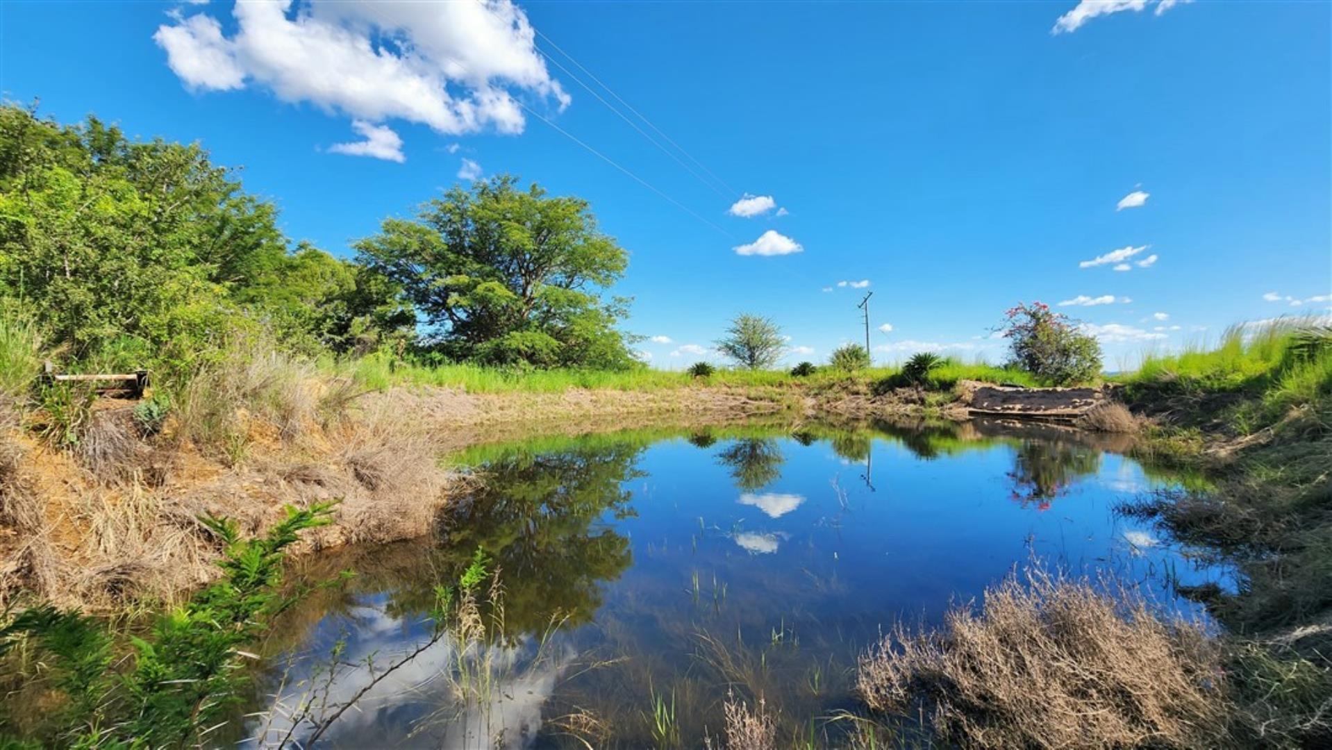 739662_Top_Dam.jpg