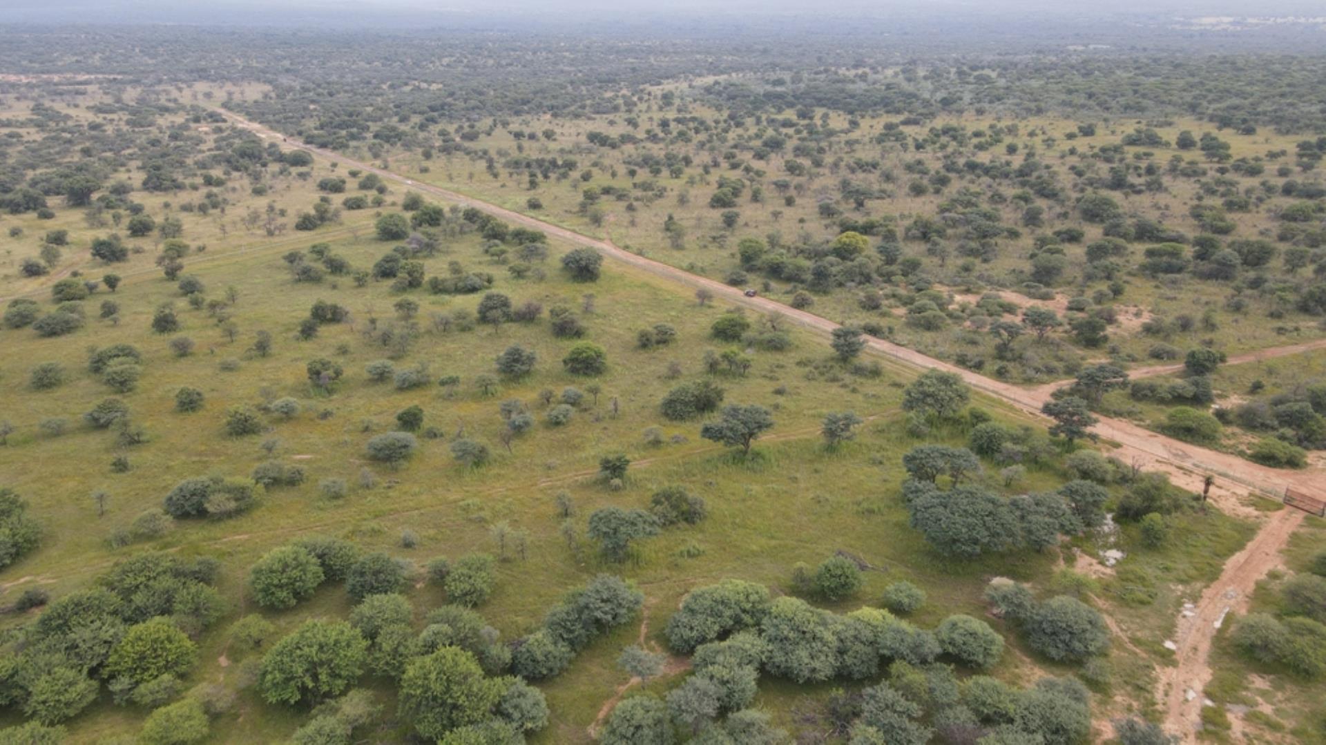 739750_989ha_Exquisite_Game_Farm_FOR_SALE_BELA_BELA_(108).jpeg