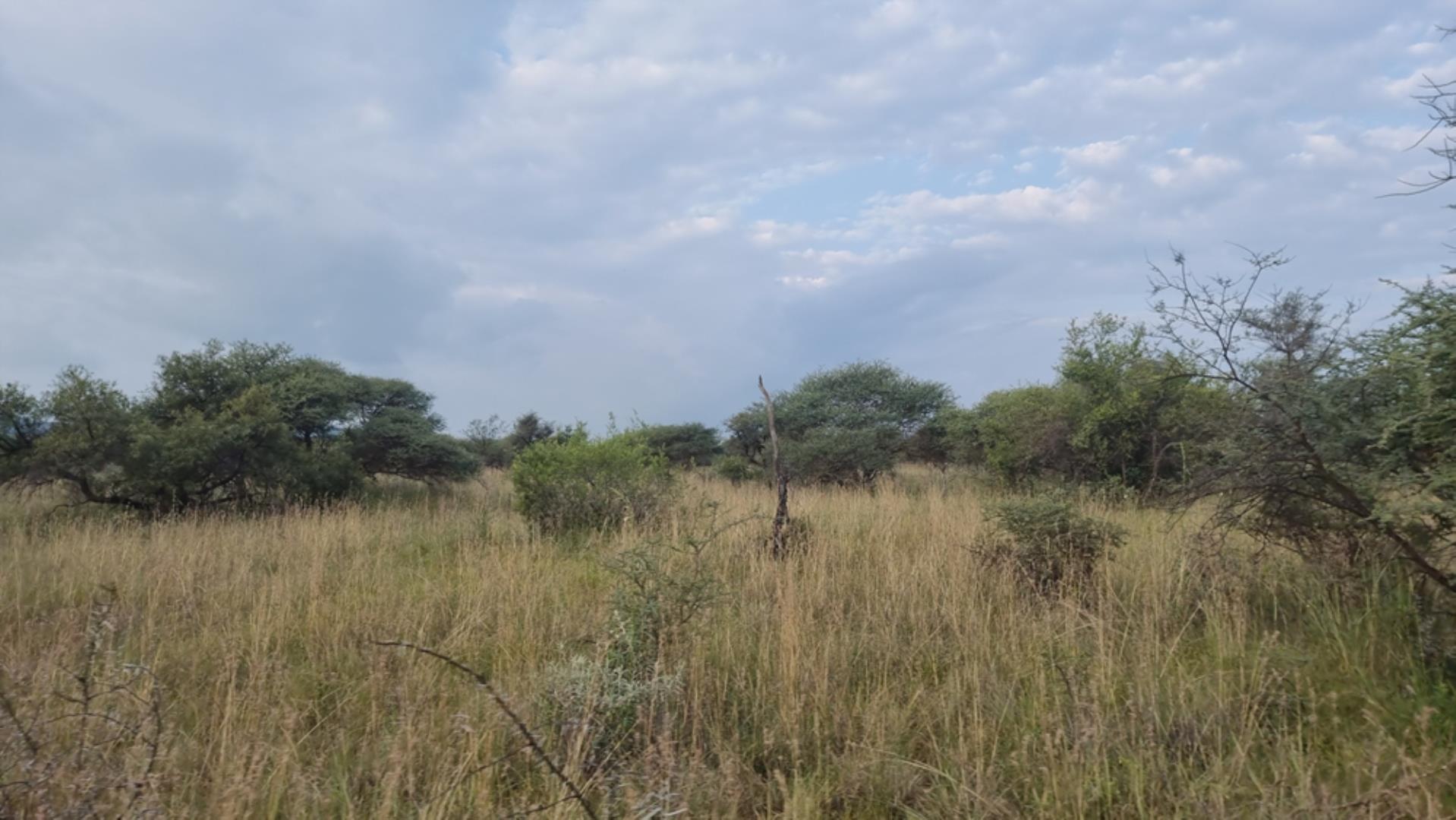 739750_989ha_Exquisite_Game_Farm_FOR_SALE_BELA_BELA_(85).jpeg