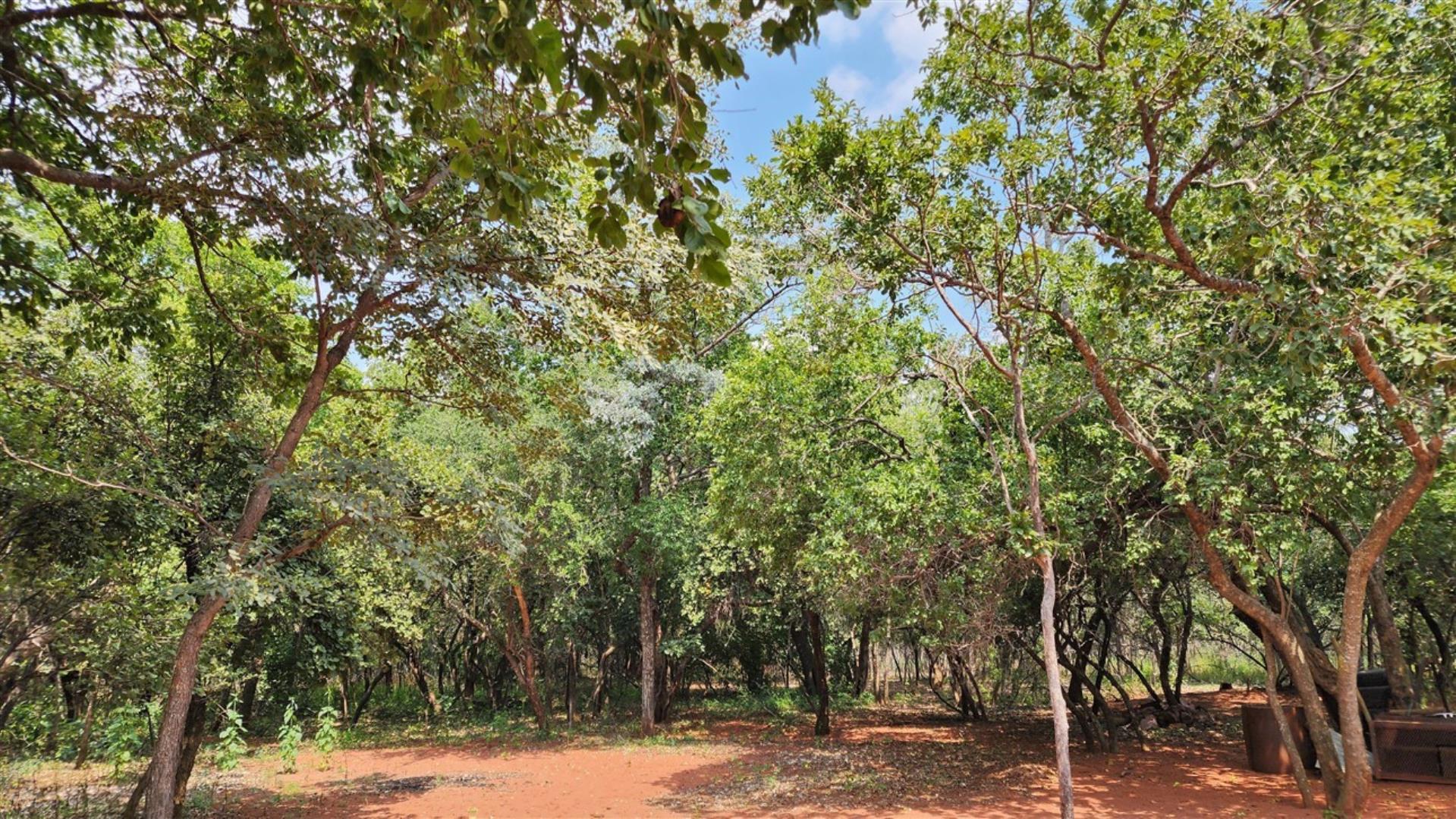 739752_Bushveld_1.jpg