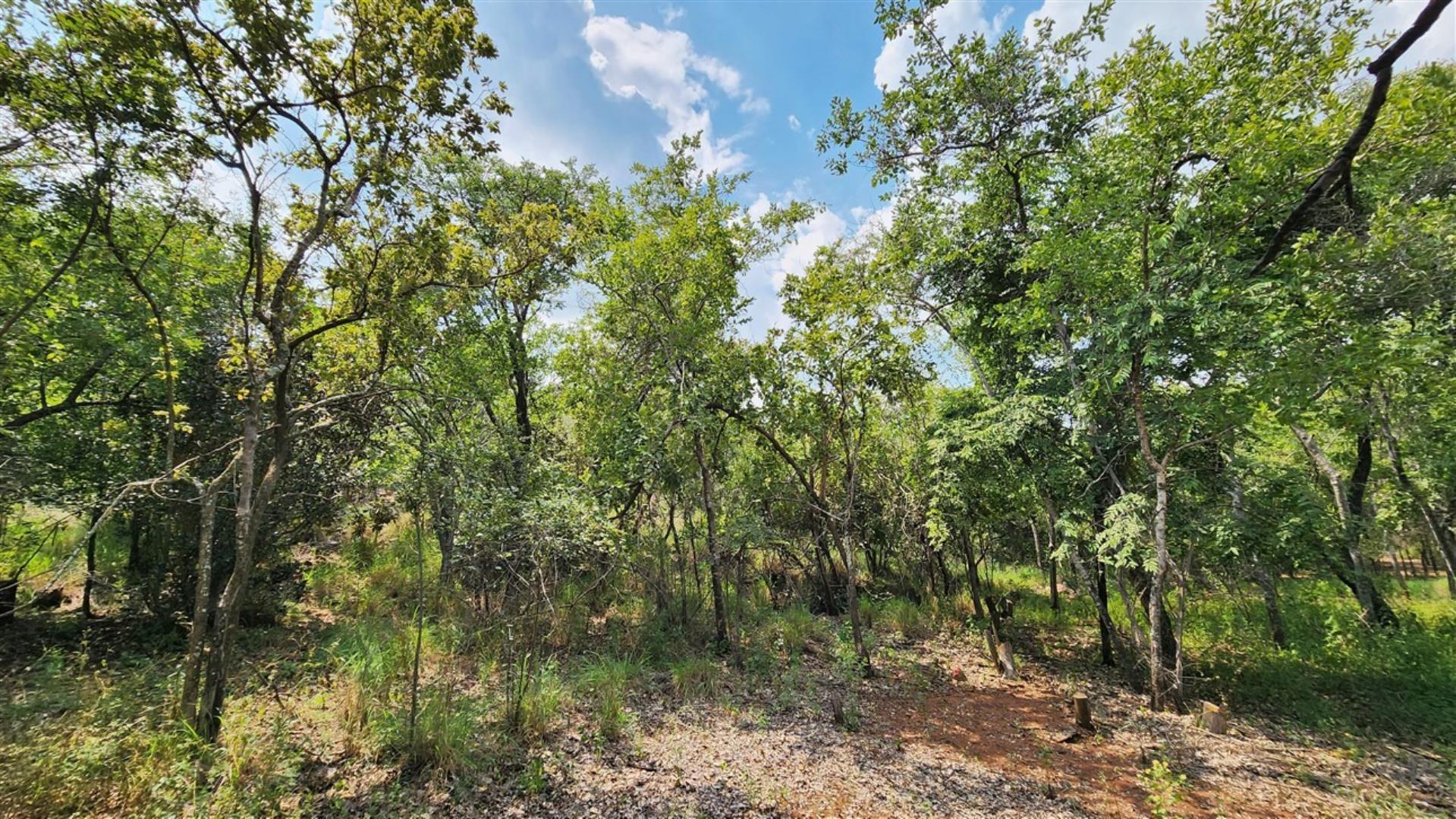 739752_Bushveld_2.jpg