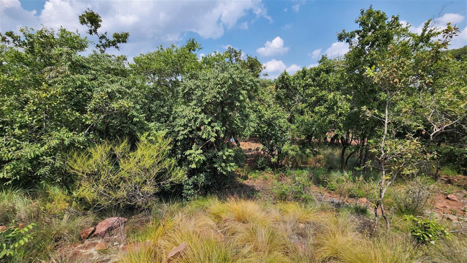 739752_Bushveld_3.jpg