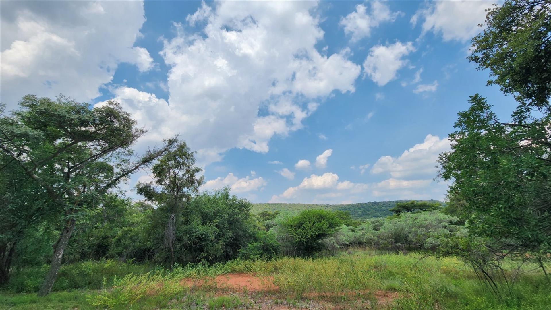 739752_Bushveld_5.jpg